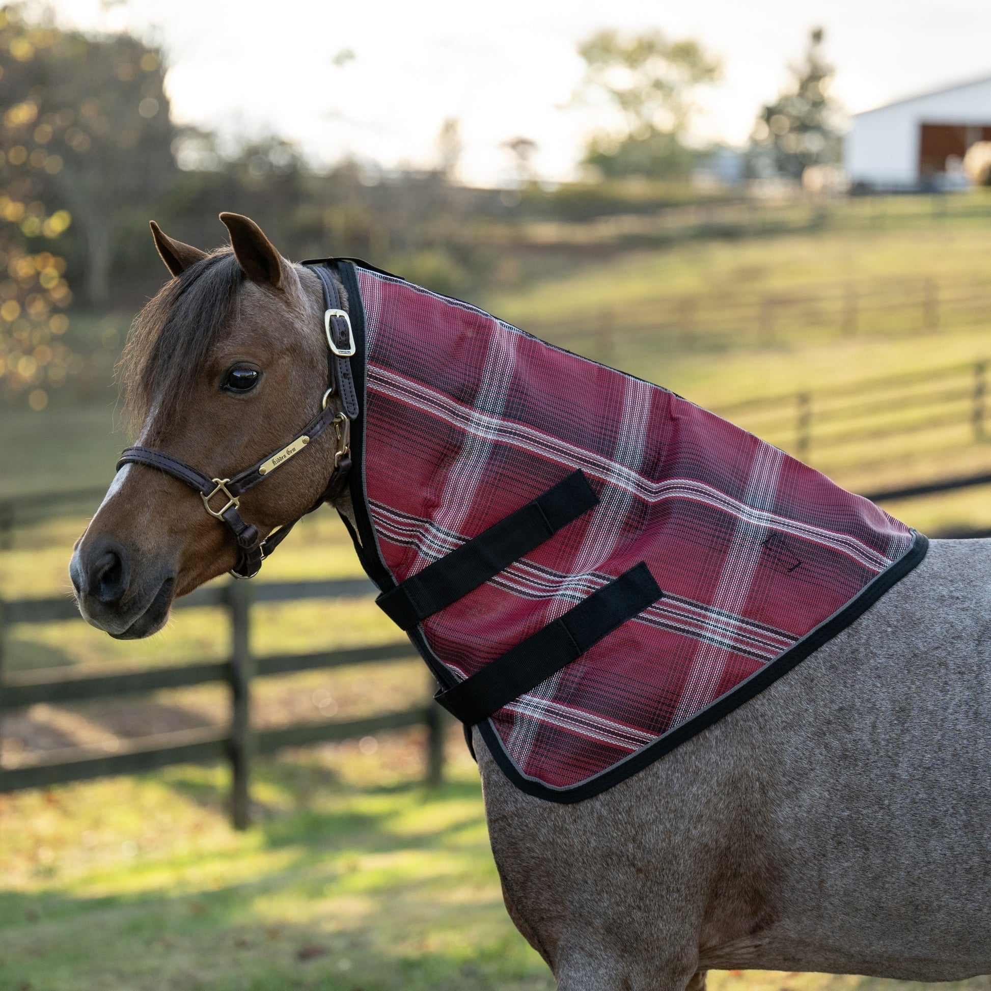 Kensington Pony Protective Neck Piece