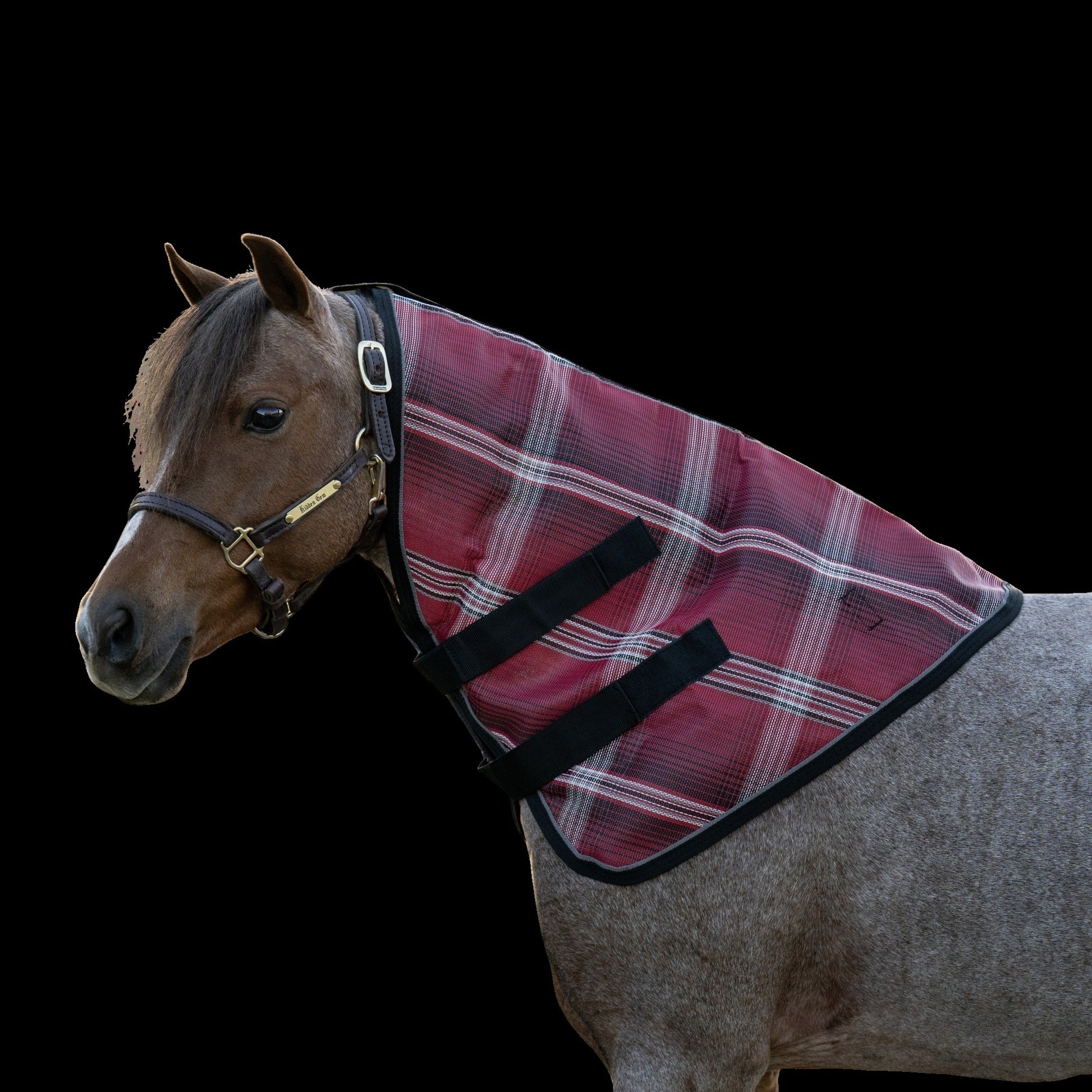 Kensington Pony Protective Neck Piece