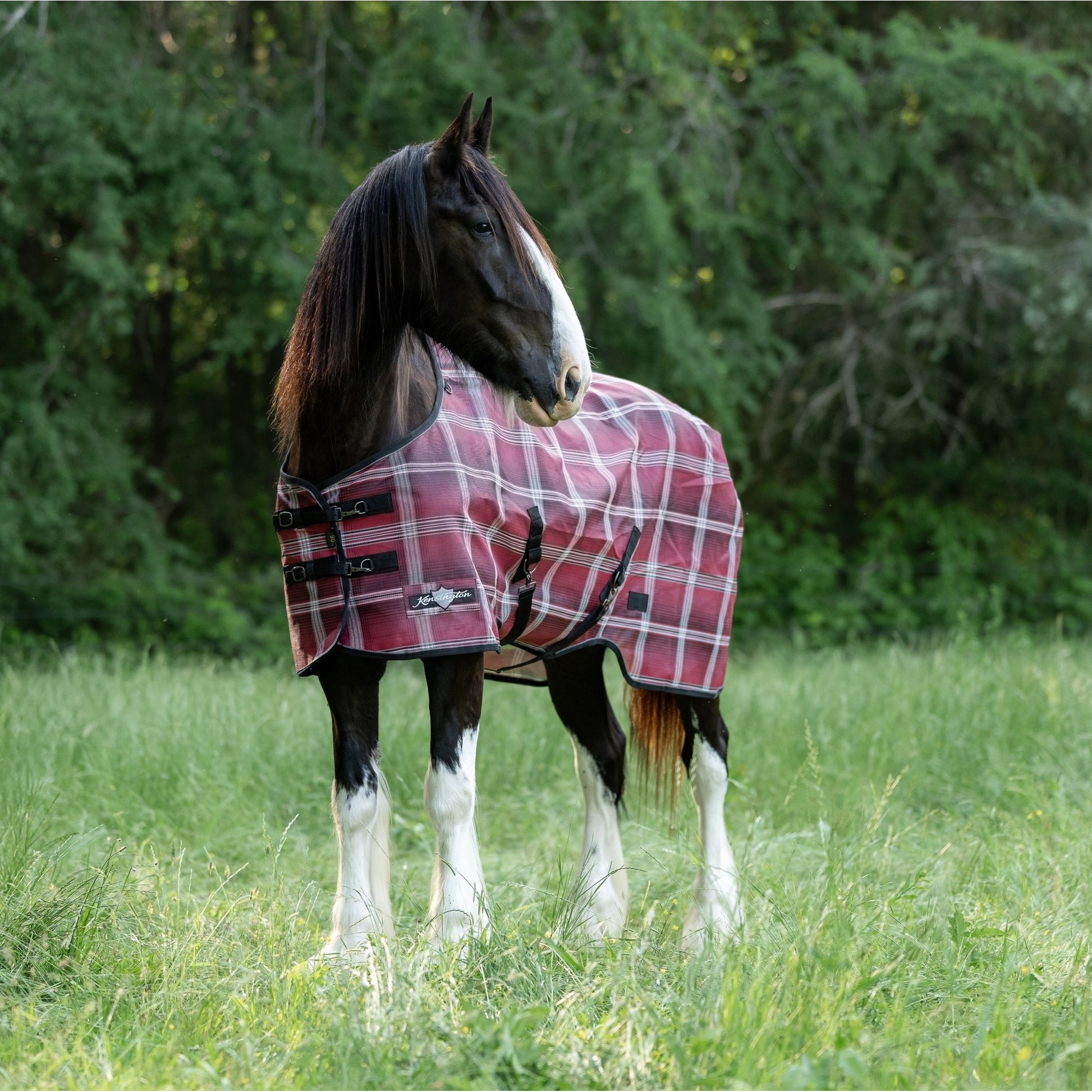 Kensington 73% UV Draft Protective Fly Sheet