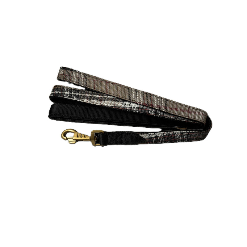Kensington Nylon Dog Leash with Padding