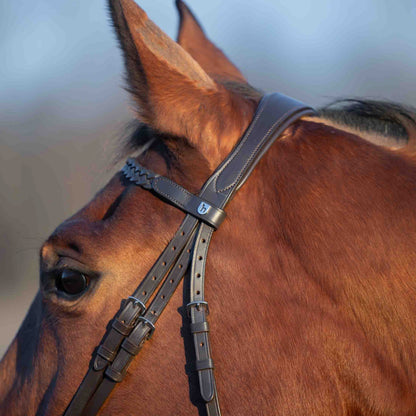 Horze Beaufort Flash Bridle