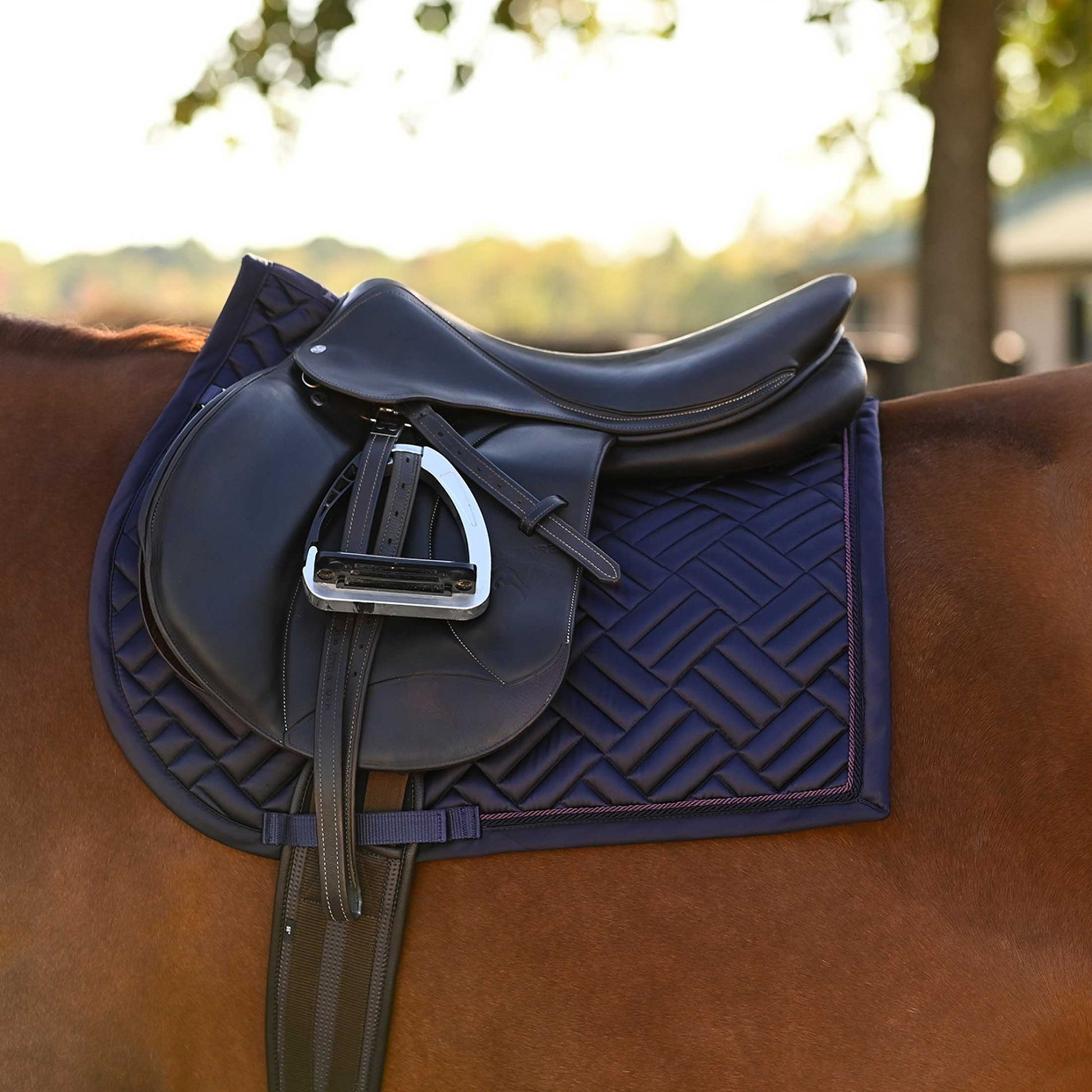Horze Aachen All Purpose Saddle Pad