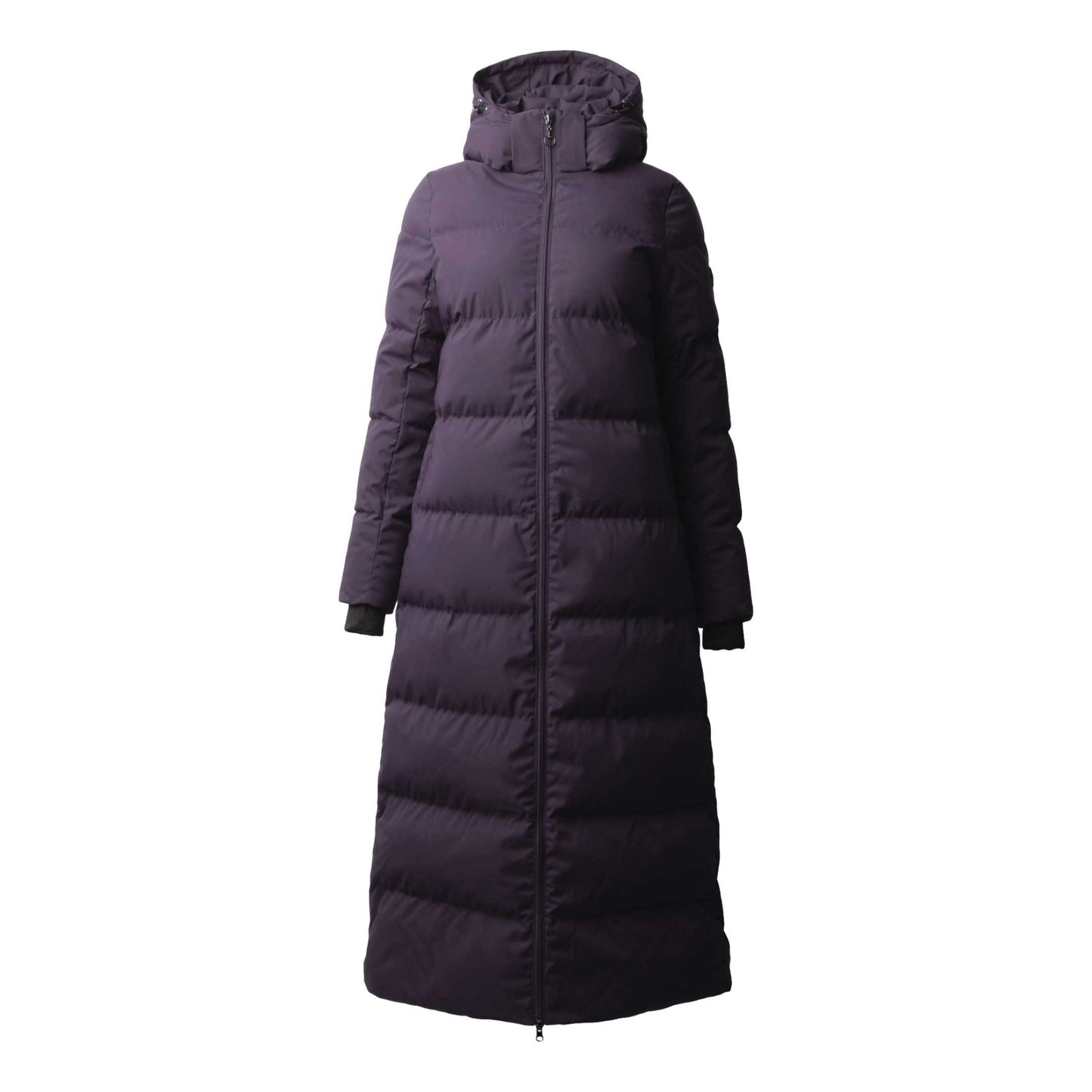 4-529465.jpg