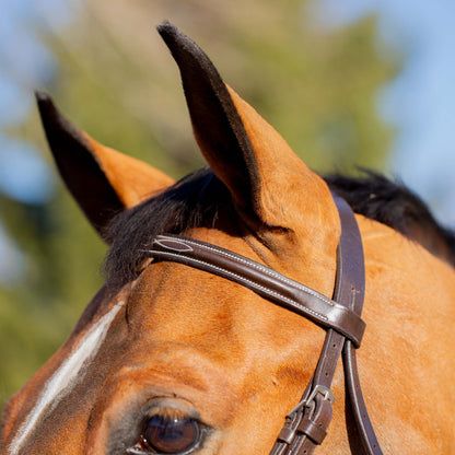 Equinavia Valkyrie Classic Wide Noseband Hunter Bridle with Reins