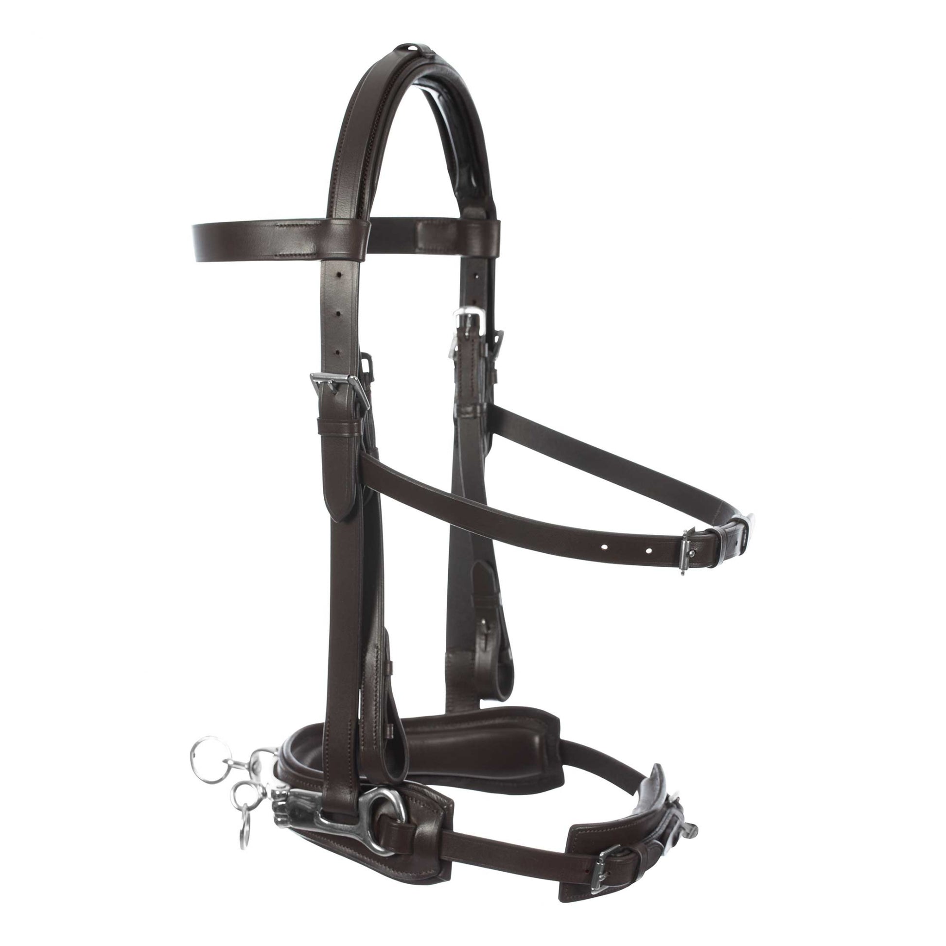 Equinavia Saga Lunge Cavesson