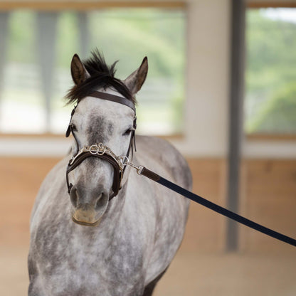 Equinavia Saga 25 Feet Lunge Line