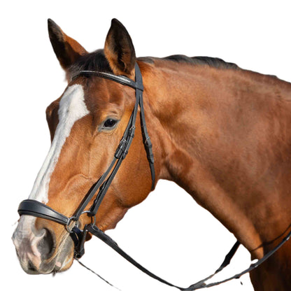 Equinavia Saga Drop Noseband Bridle with Web Rubber Reins