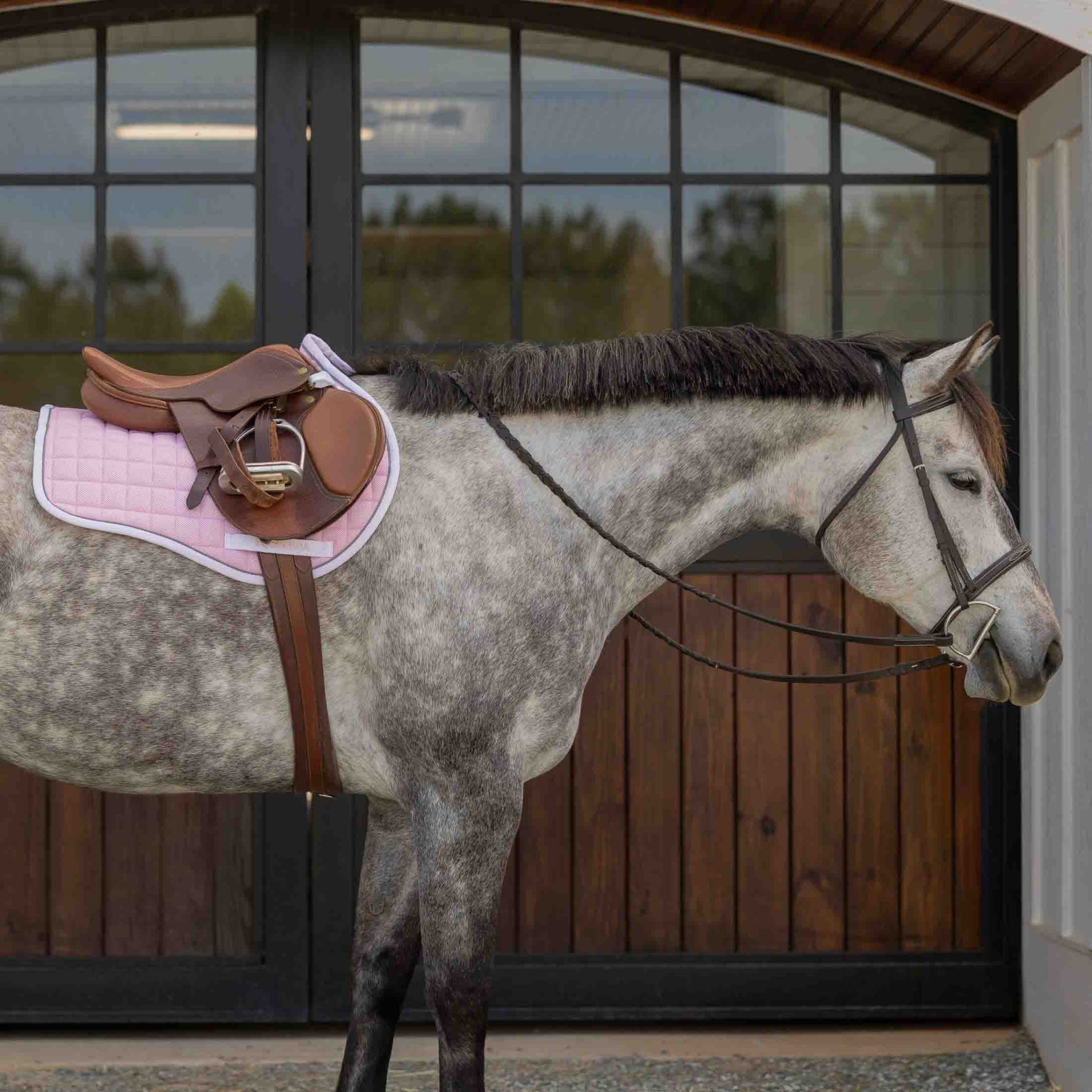 Equinavia Svalbard Pony Saddle Pad with NordicAir Tech