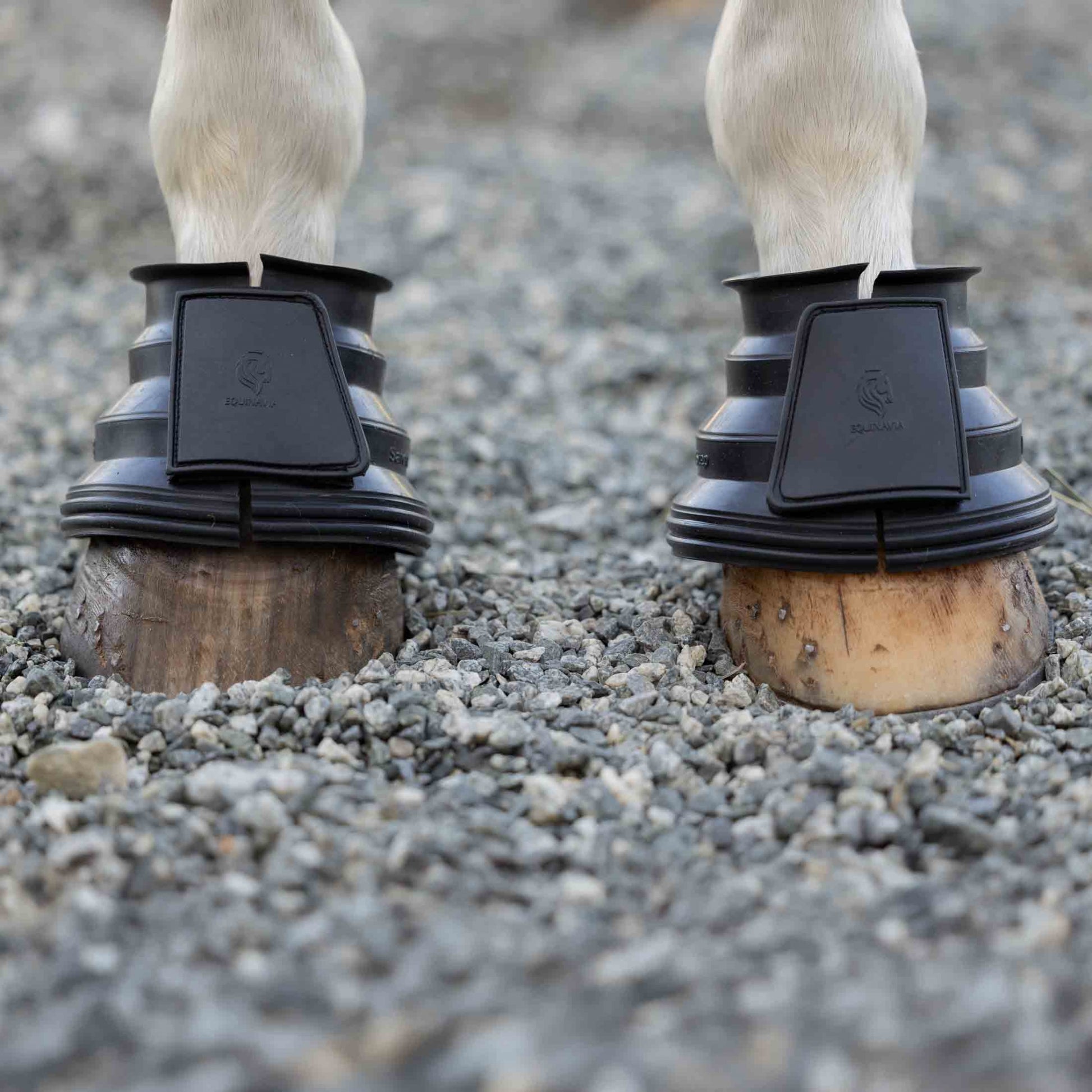 Equinavia Step Guard Rubber Bell Boots