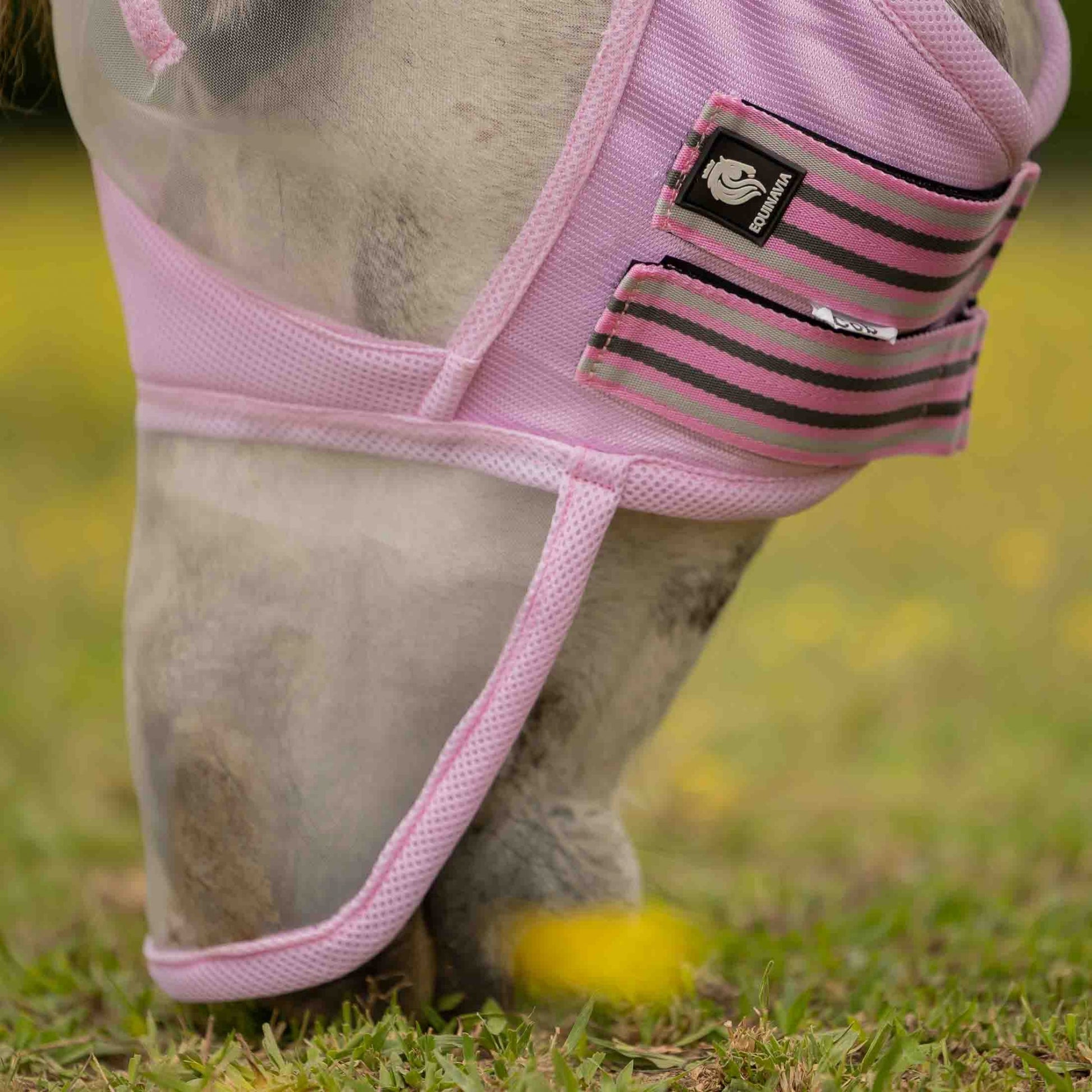 Equinavia Algard Soft Mesh Long Nose Fly Mask