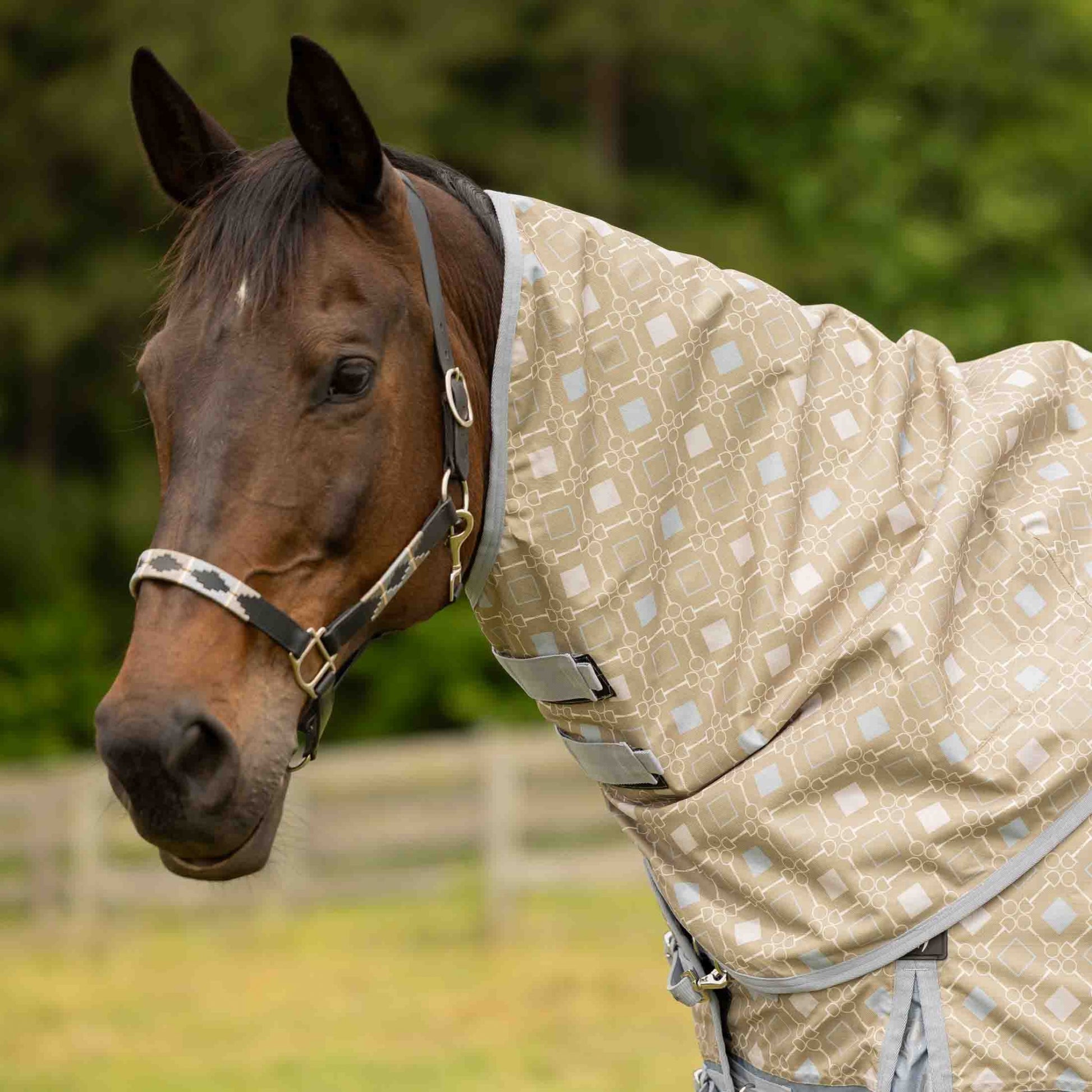Equinavia Siri Polo Leather Halter