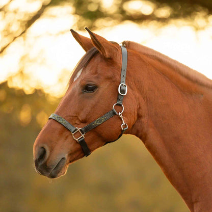 Equinavia Siri Polo Leather Halter