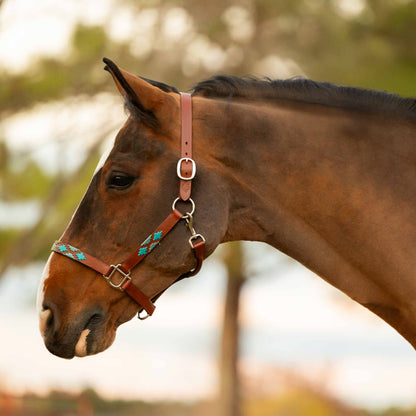 Equinavia Siri Polo Leather Halter