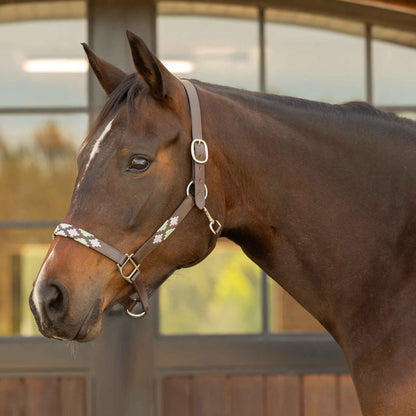 Equinavia Siri Polo Leather Halter
