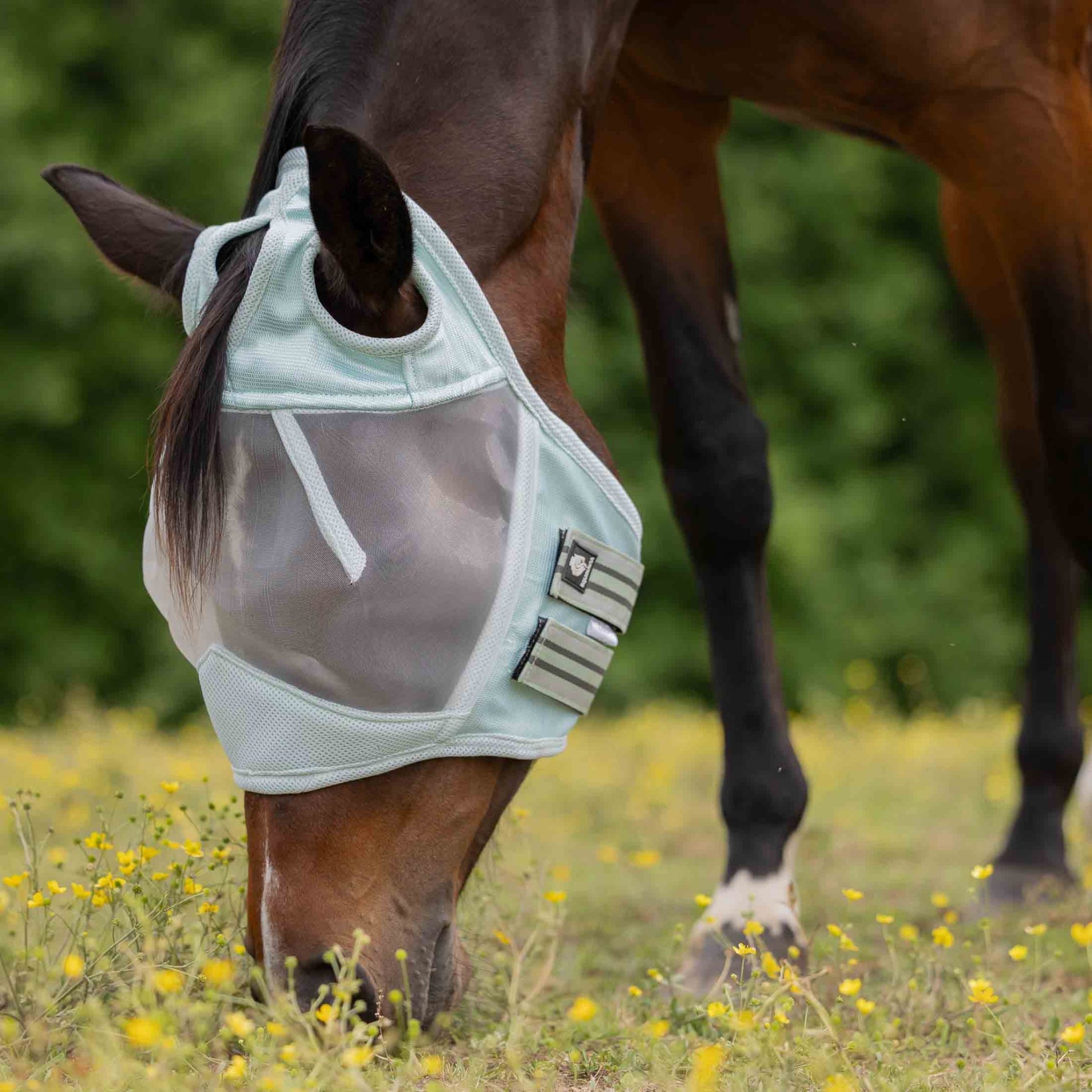 Equinavia Algard Soft Mesh Earless Fly Mask