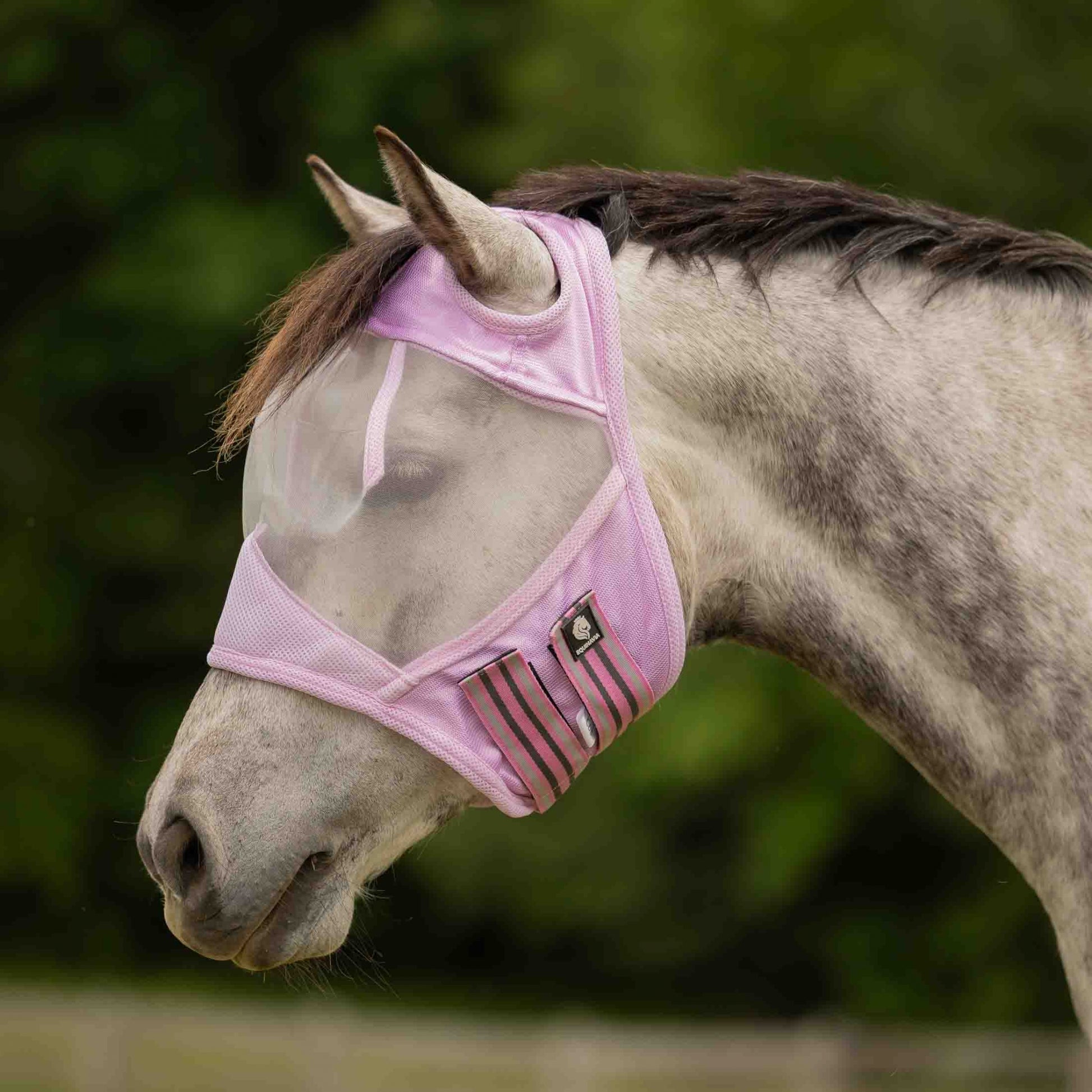 Equinavia Algard Soft Mesh Earless Fly Mask
