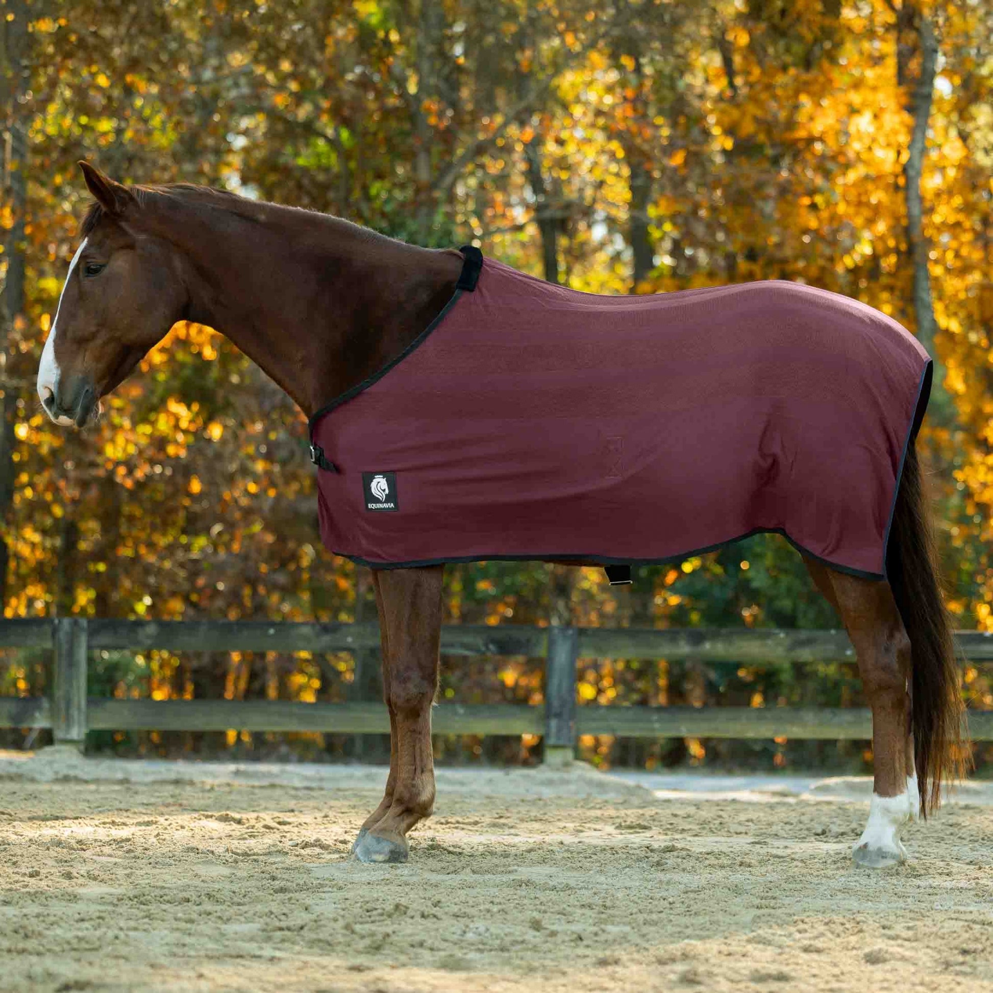 Equinavia Sefyr Scrim Sheet