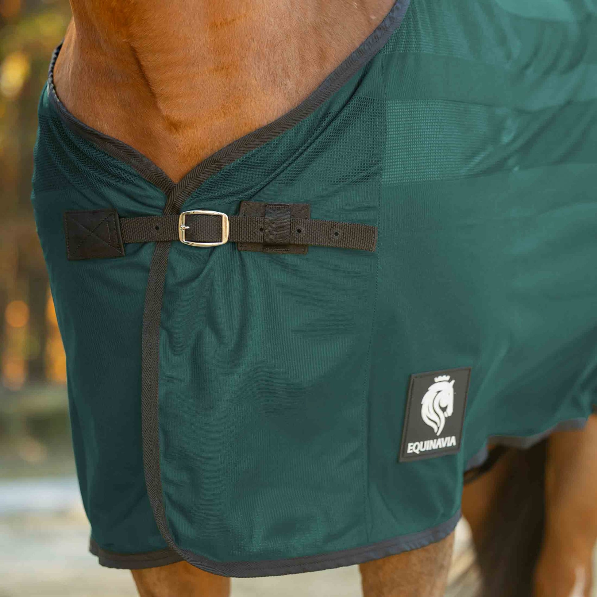 Equinavia Sefyr Scrim Sheet
