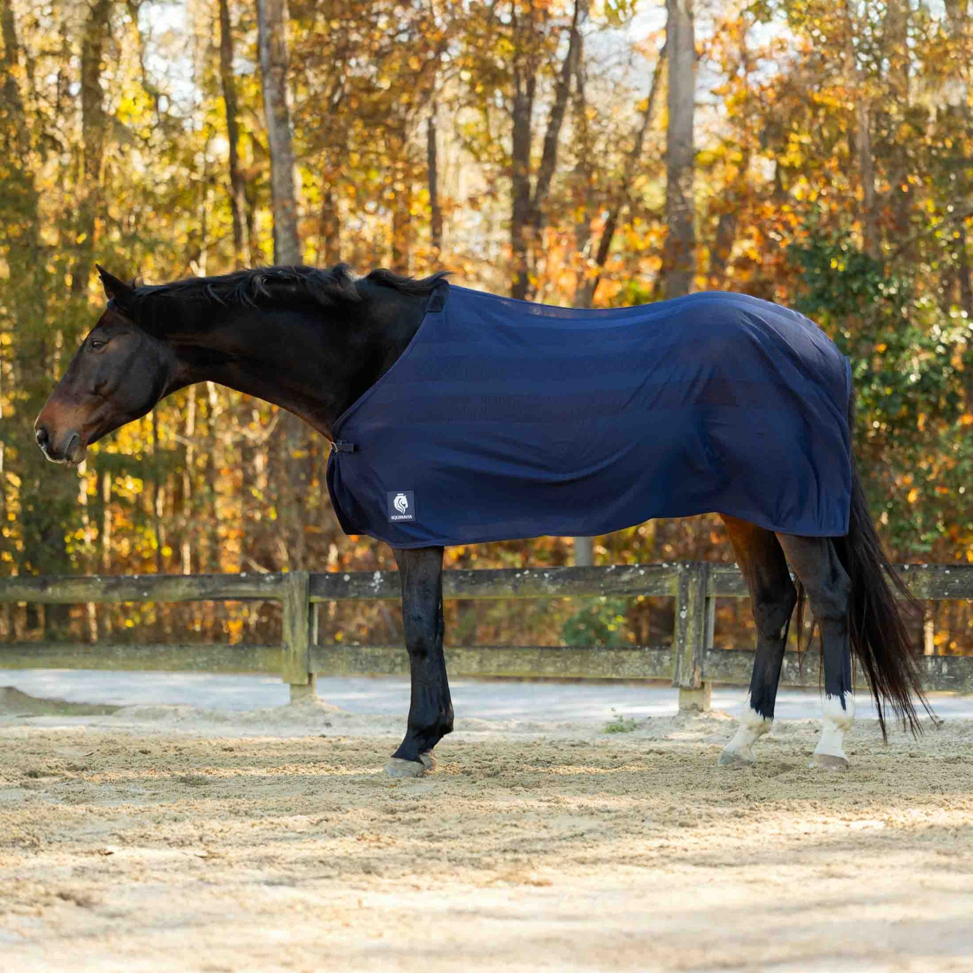 Equinavia Sefyr Scrim Sheet