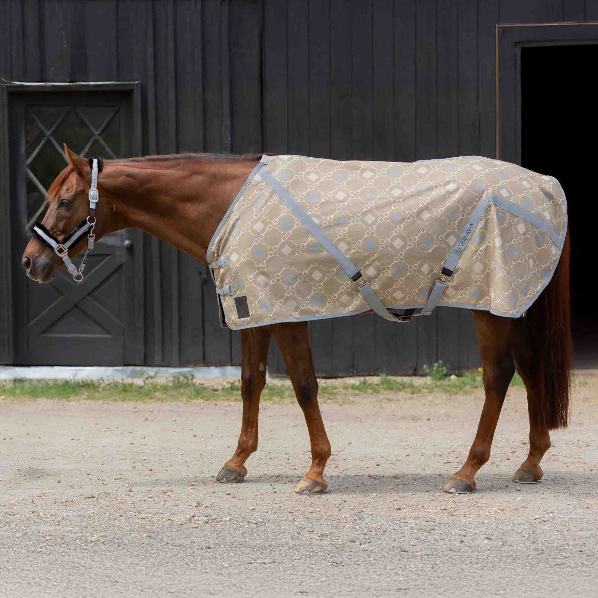 Equinavia Fryd Cotton Stable Sheet