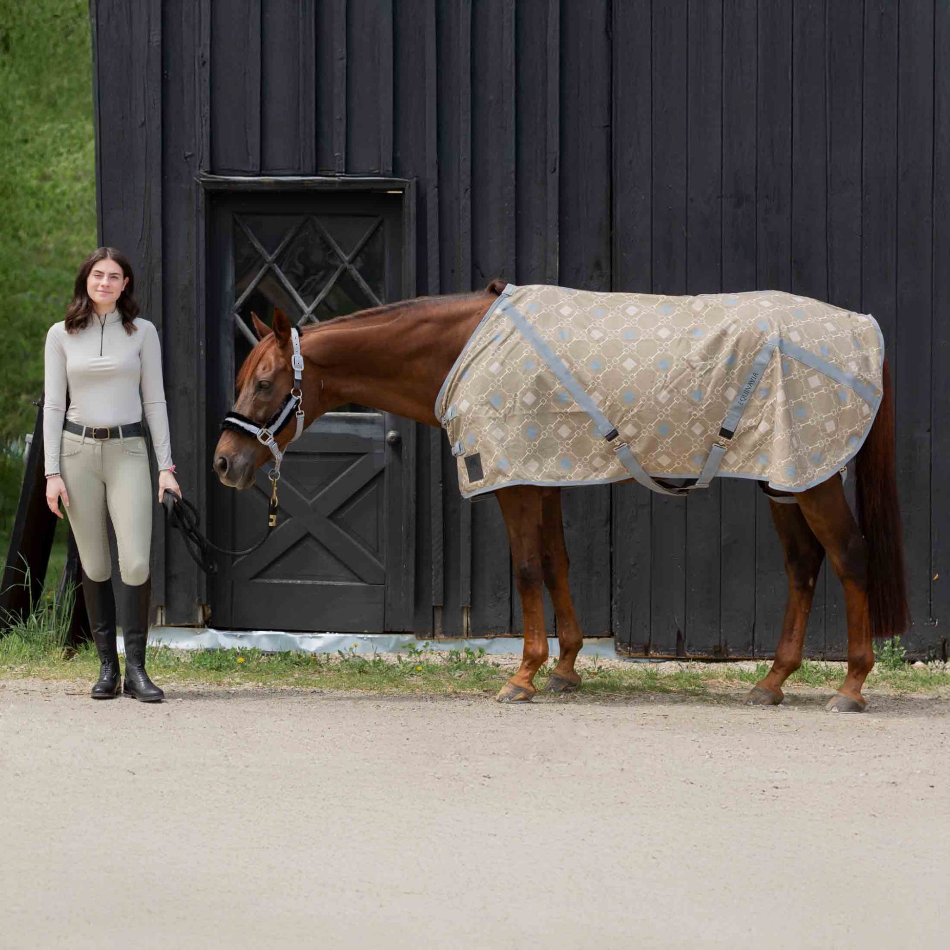 Equinavia Fryd Cotton Stable Sheet