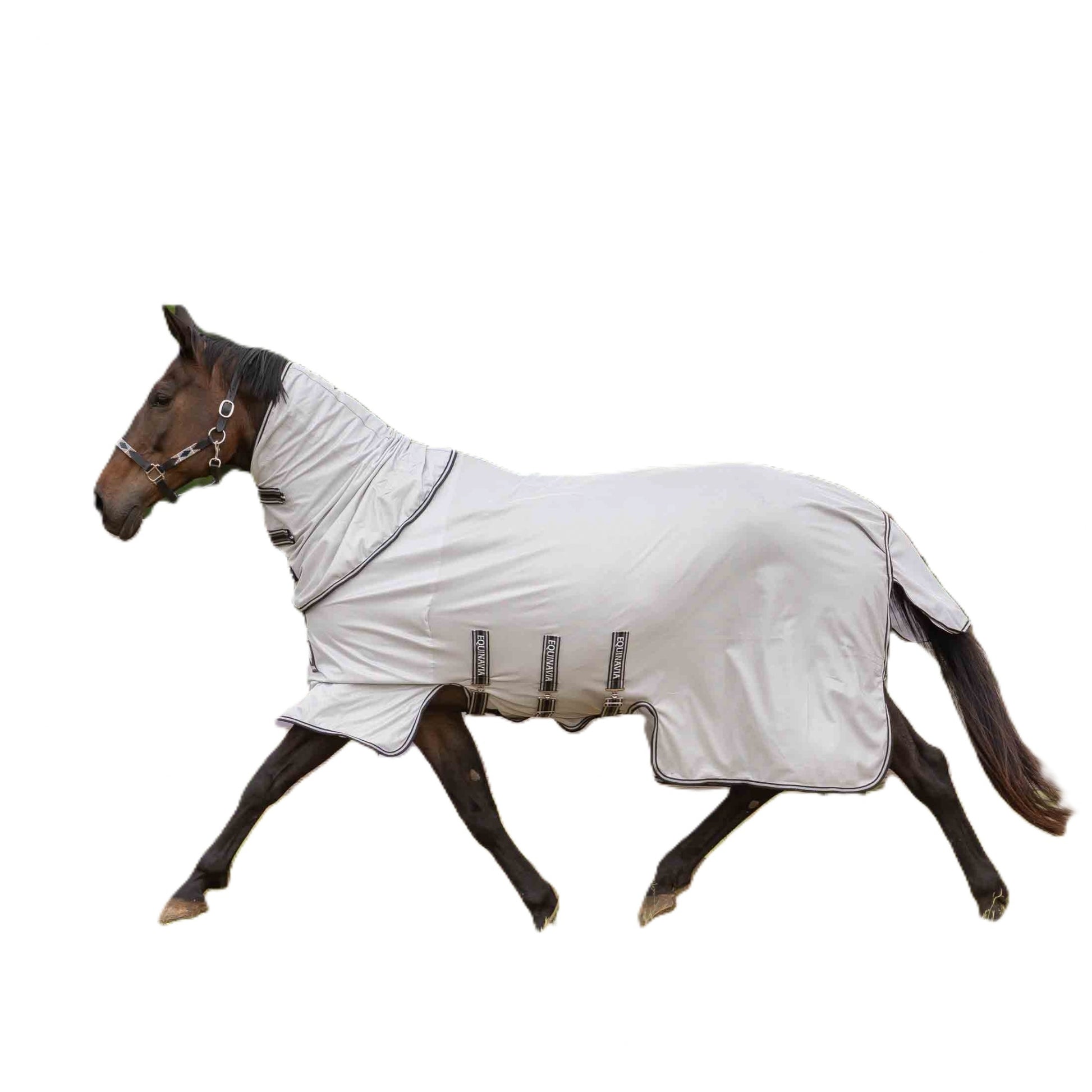 Equinavia Vern Full Protect Fly Sheet