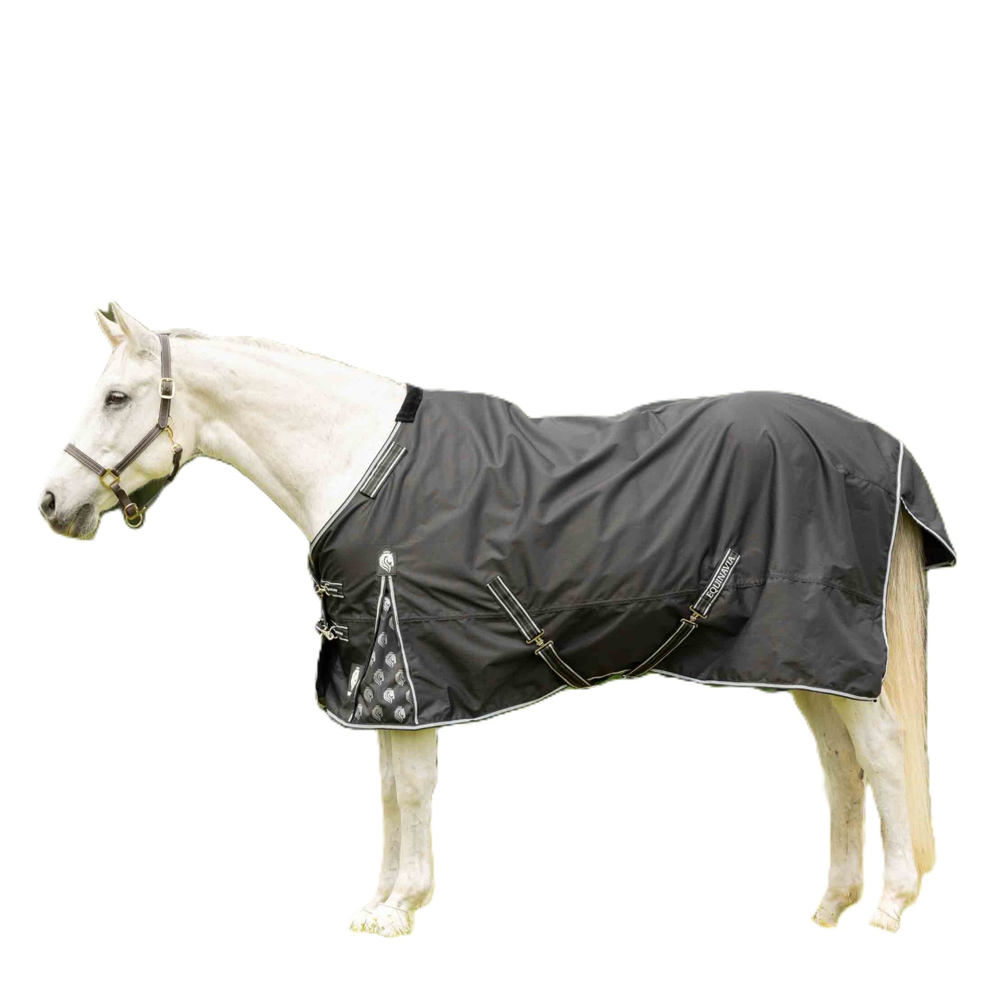 Equinavia Norse Fleece Lined Turnout Blanket