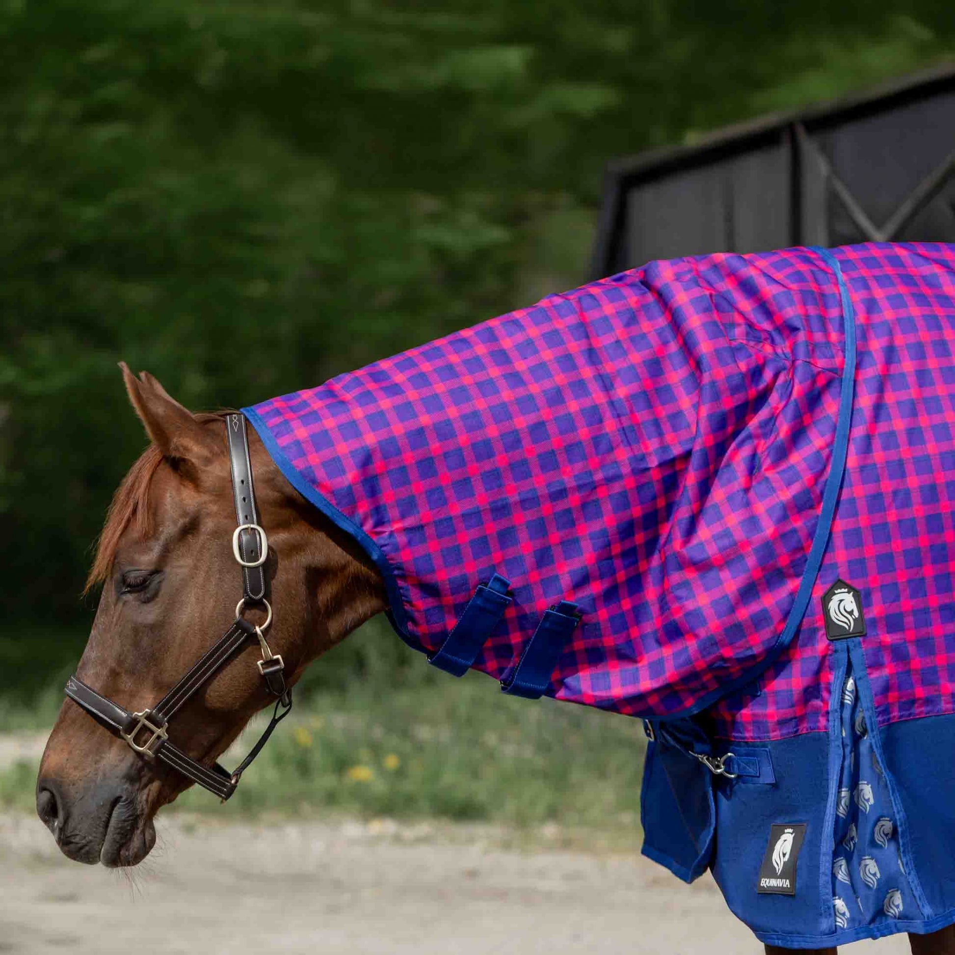 Equinavia Norse Fleece Lined Turnout Blanket