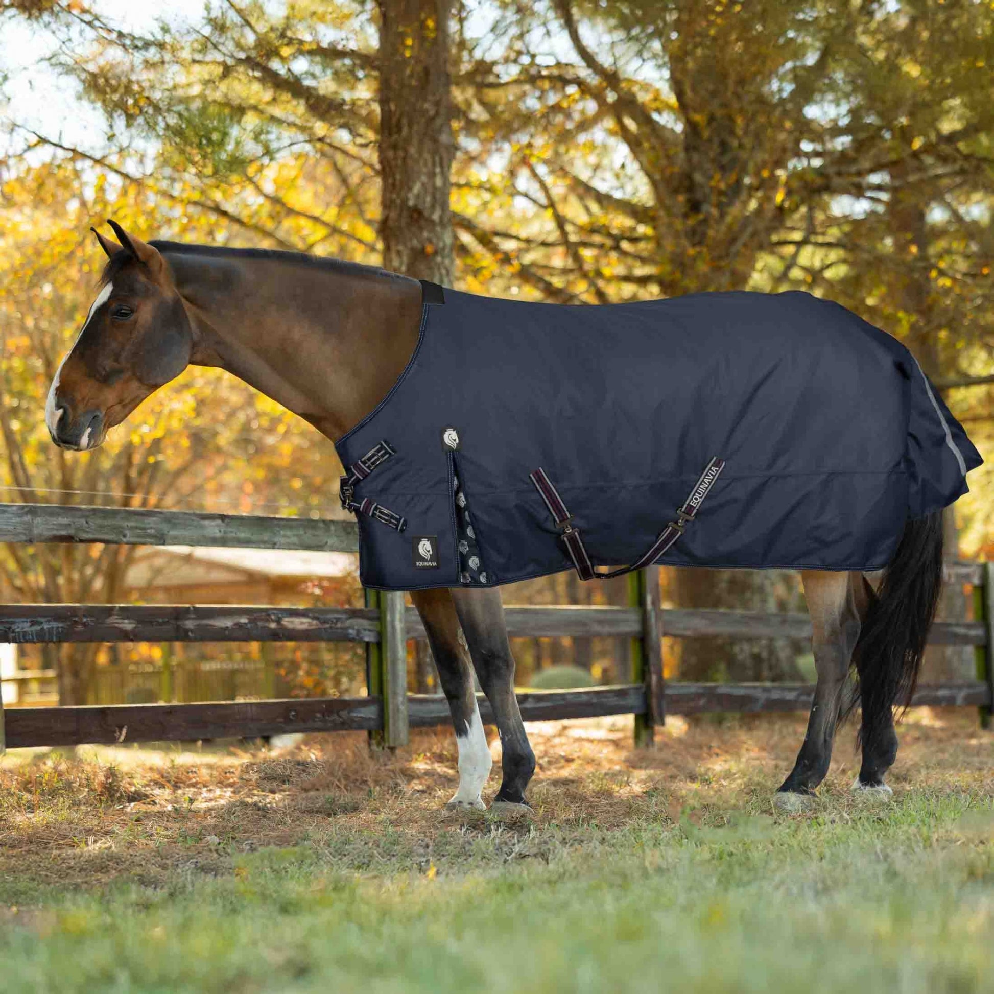 Equinavia Arktis VariFlex Turnout Blanket