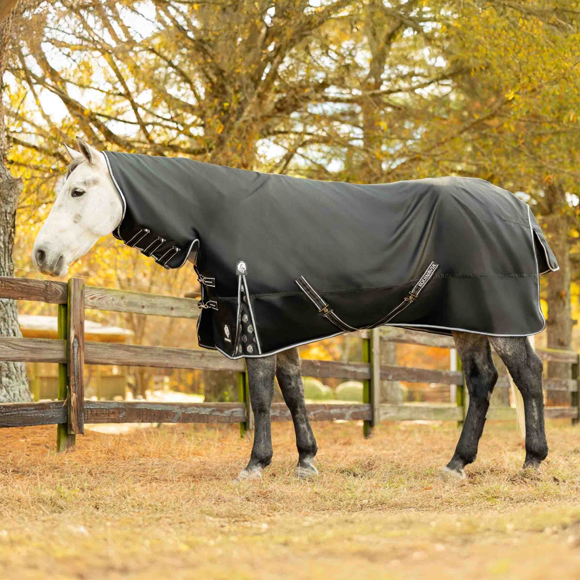 Equinavia Norse Full Neck Turnout Sheet