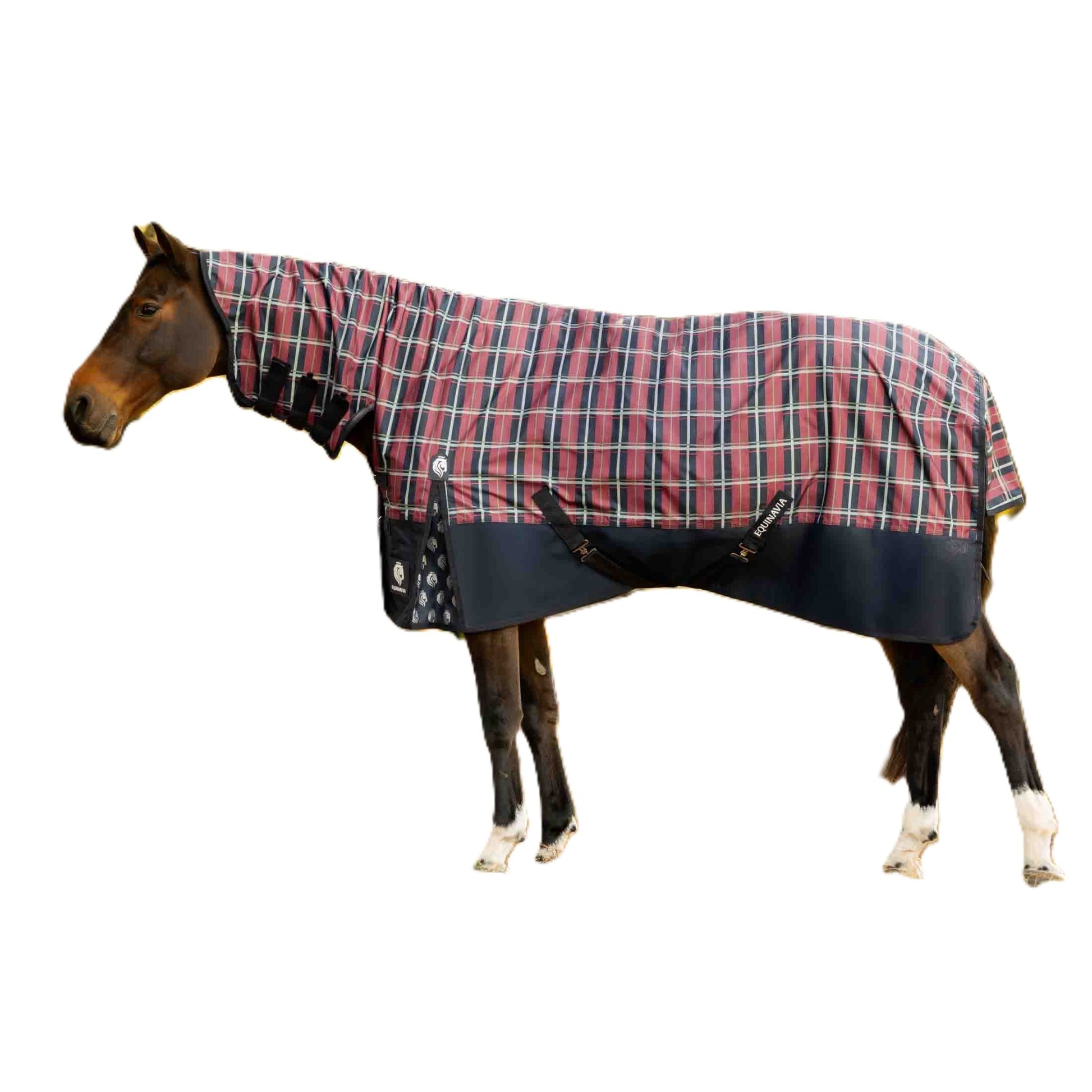 Equinavia Norse Full Neck Turnout Blanket 300g