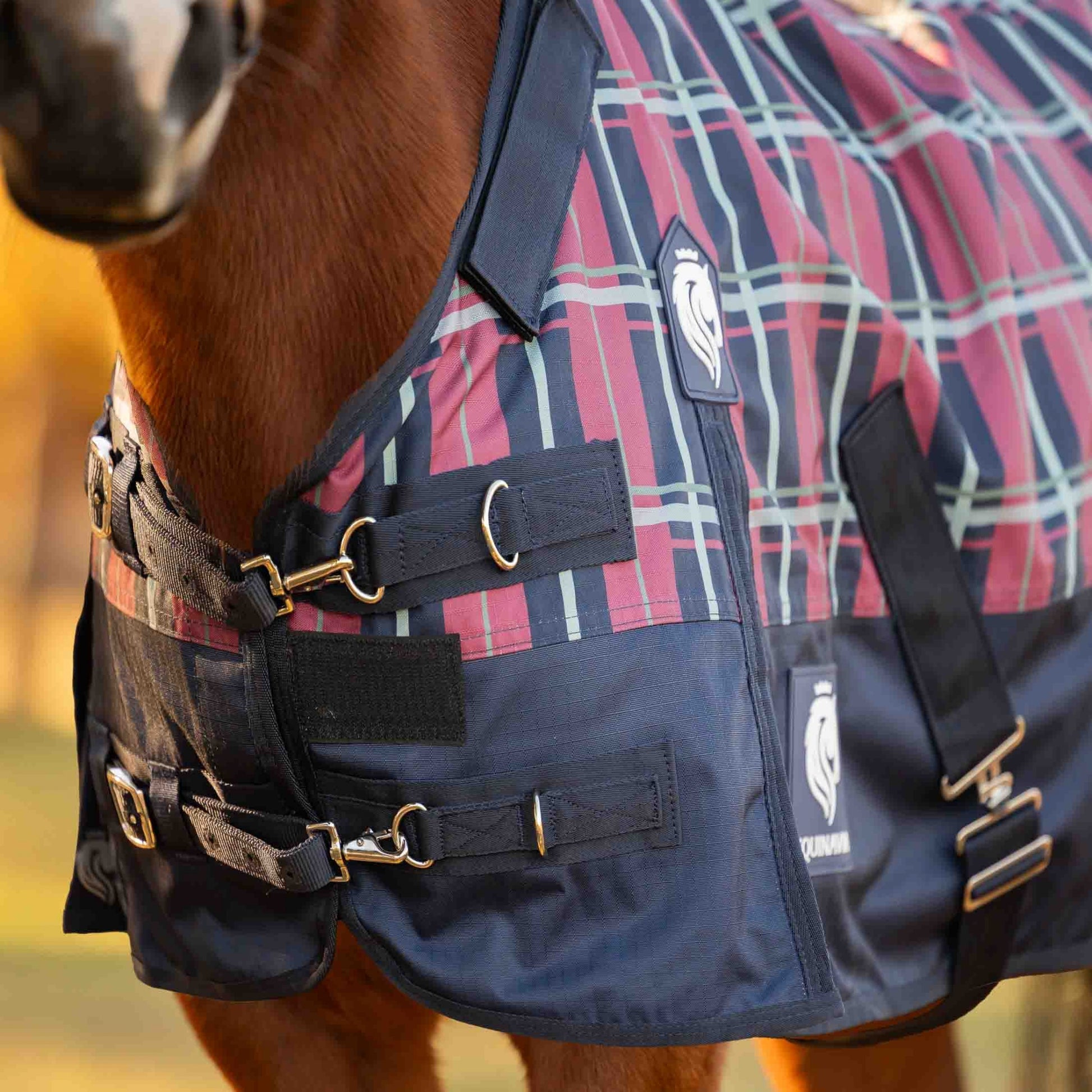 Equinavia Norse Pony Turnout Sheet