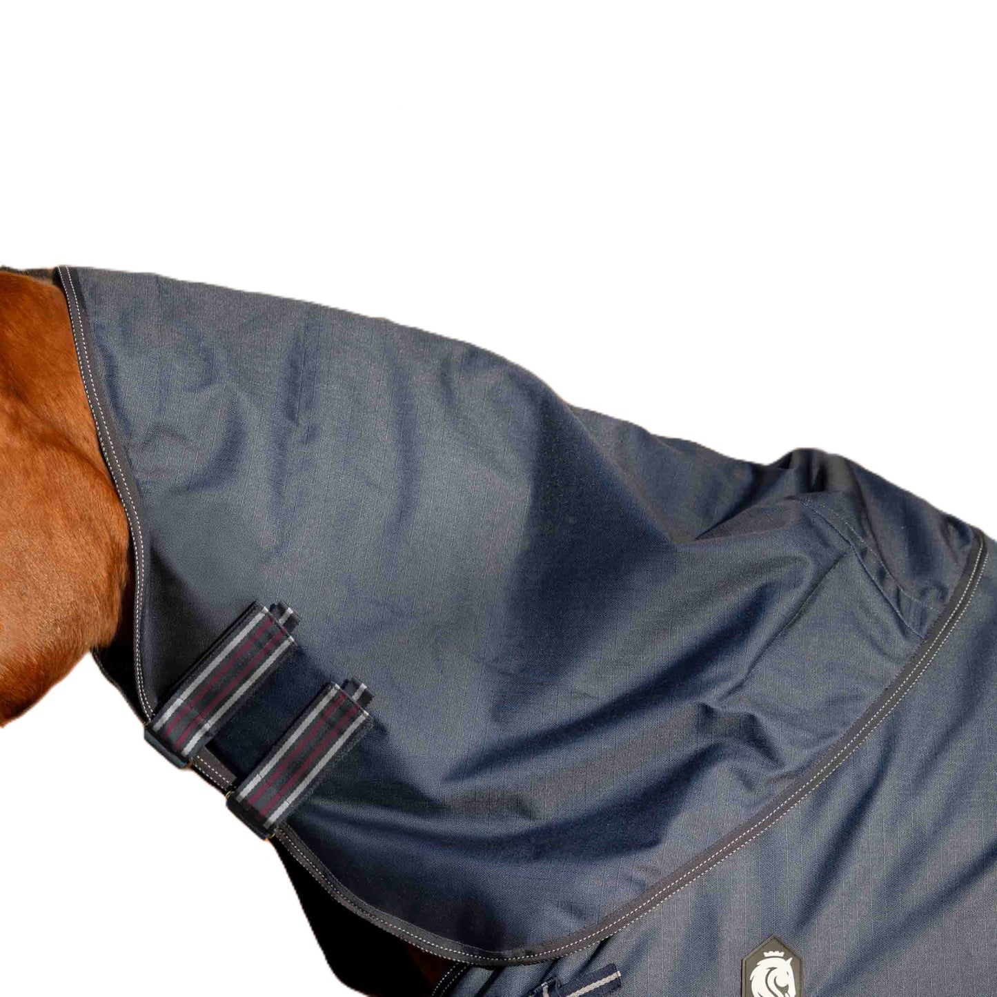 4-531284.jpg