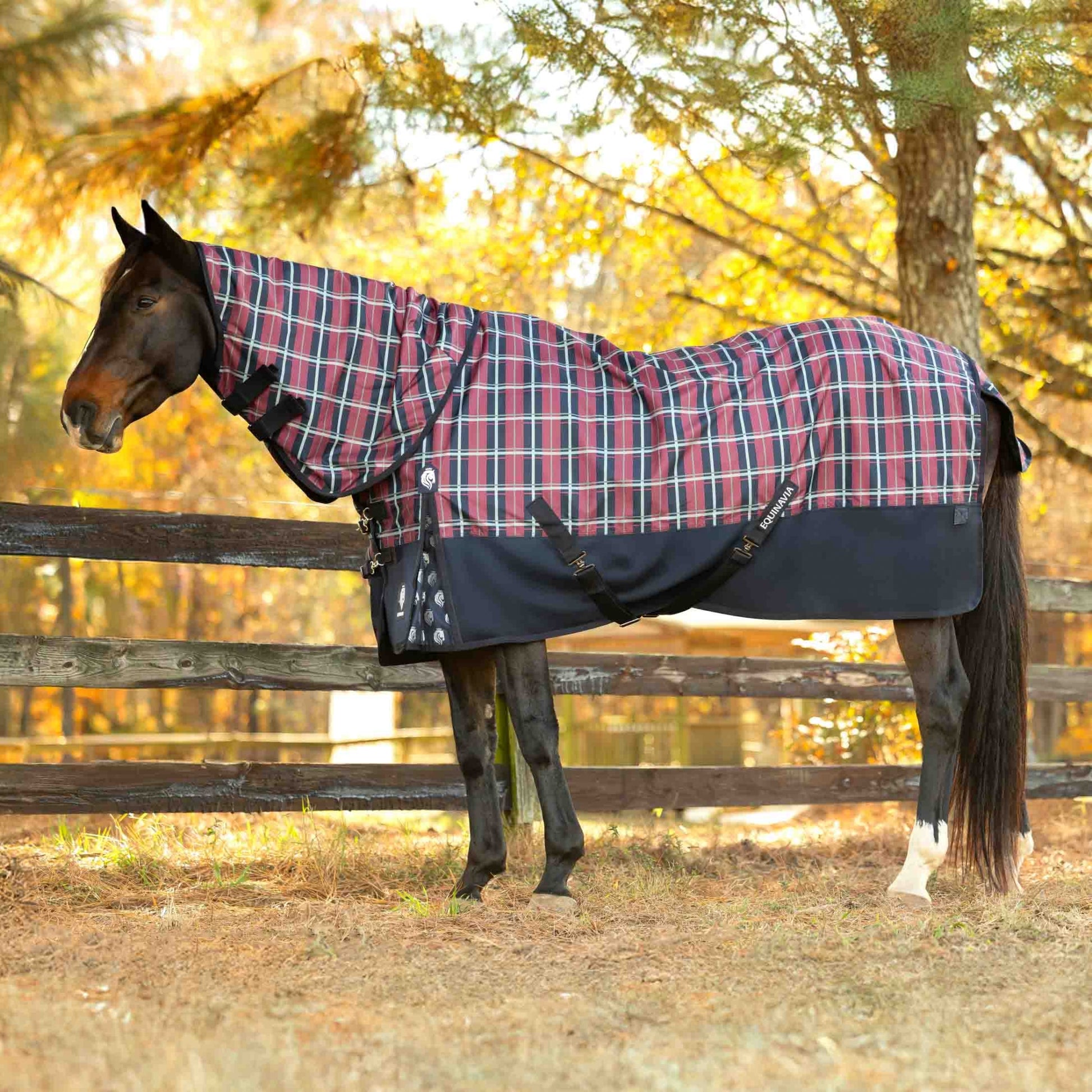 Equinavia Norse Pony Turnout Neck Cover 200g
