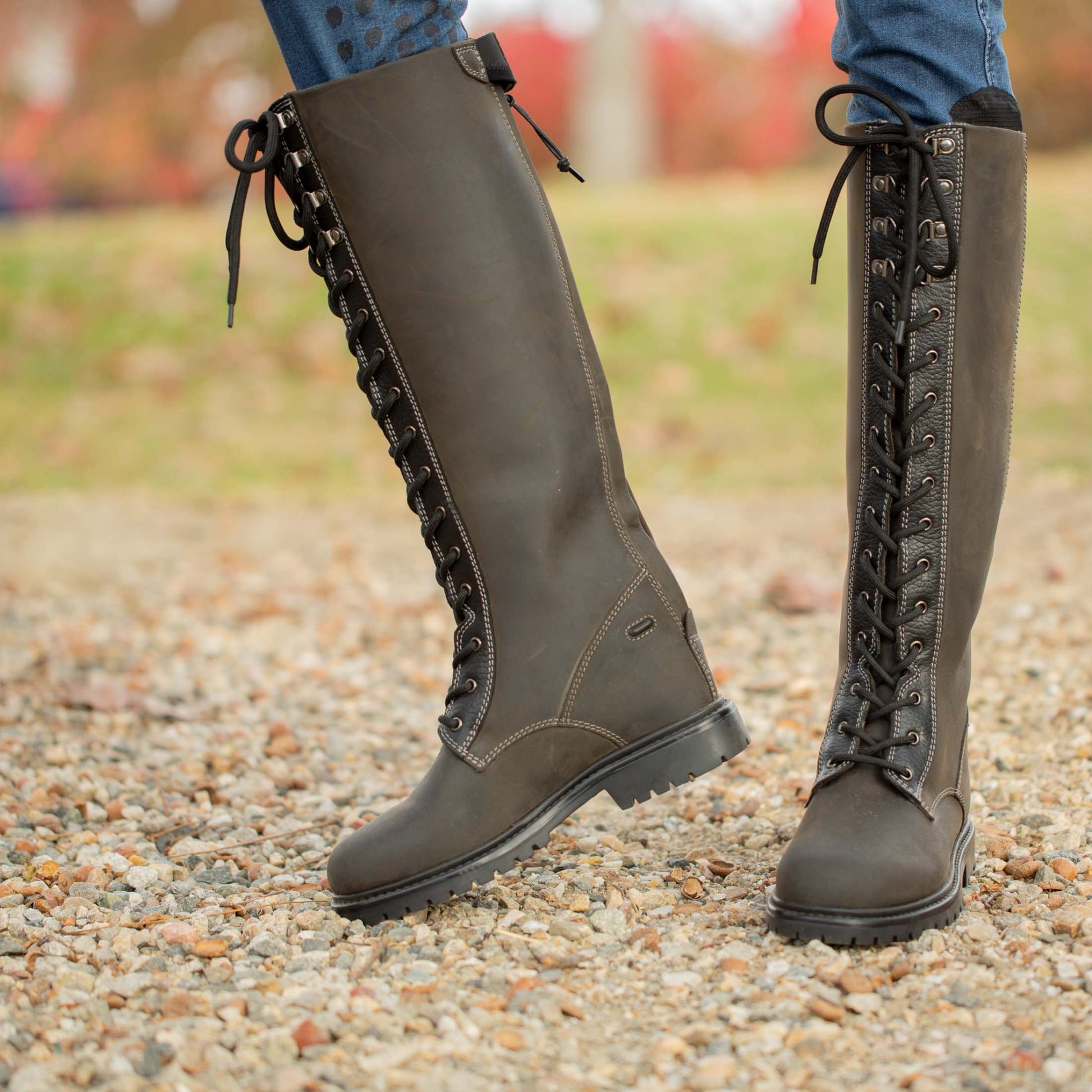 Equinavia Ari Thinsulate Lace Country Boots