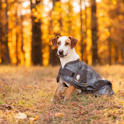 Equinavia Arktis Dog Turnout Sheet