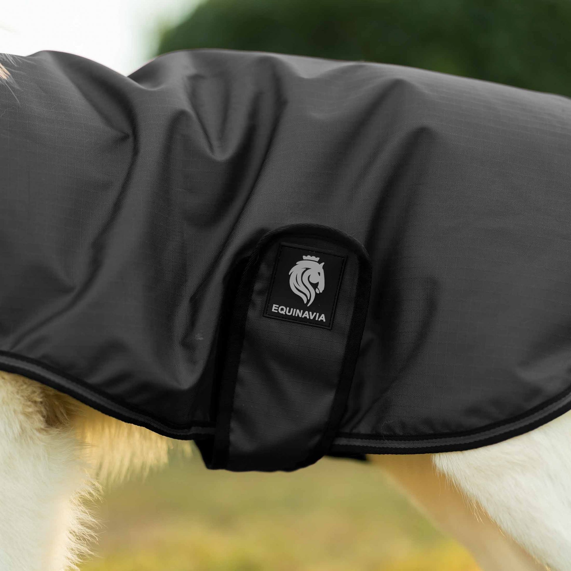 Equinavia Norse Dog Turnout Blanket 200g