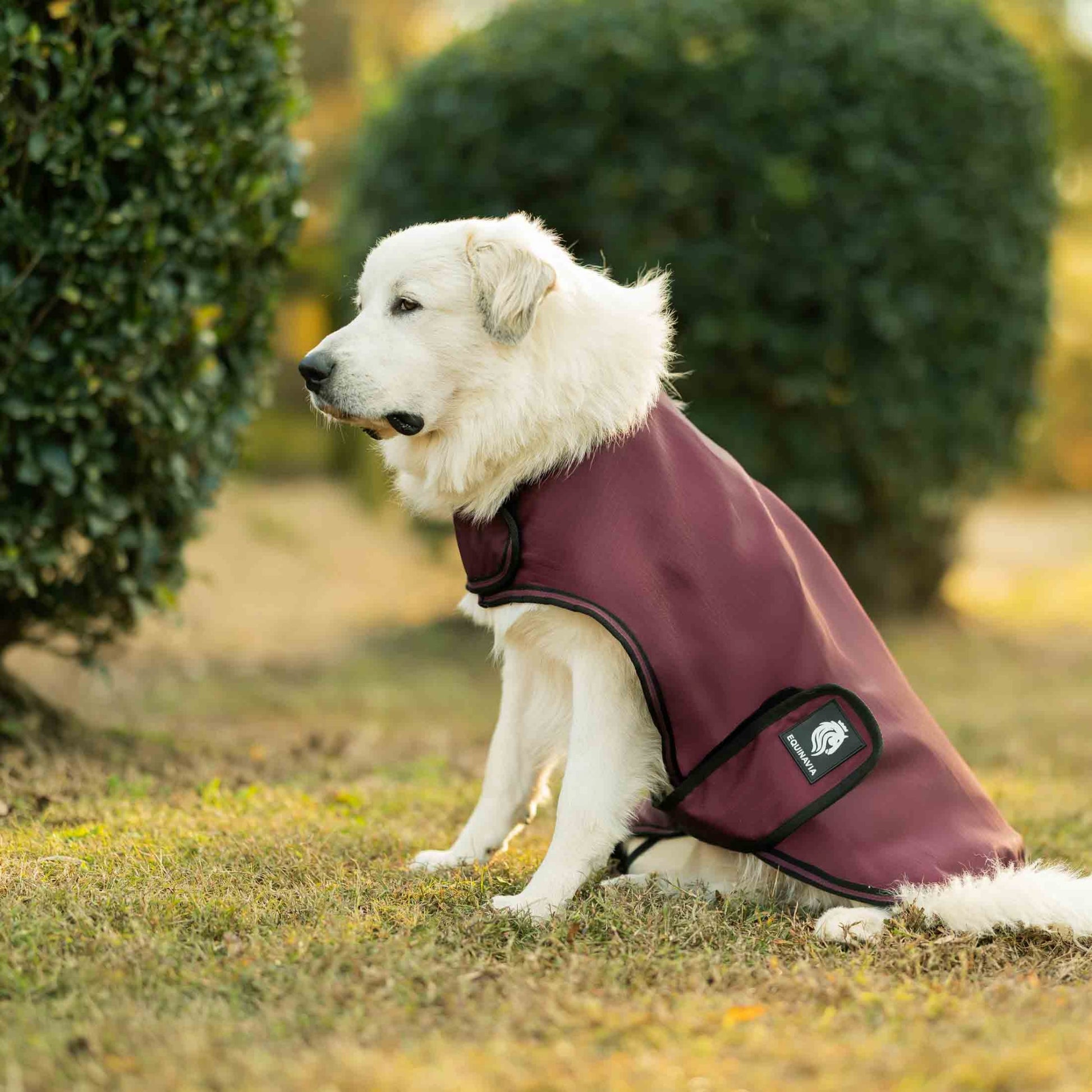 Equinavia Norse Dog Turnout Blanket 200g