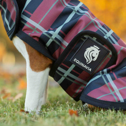 Equinavia Norse Dog Turnout Blanket 200g