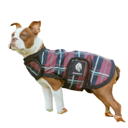 Equinavia Norse Dog Turnout Blanket 200g