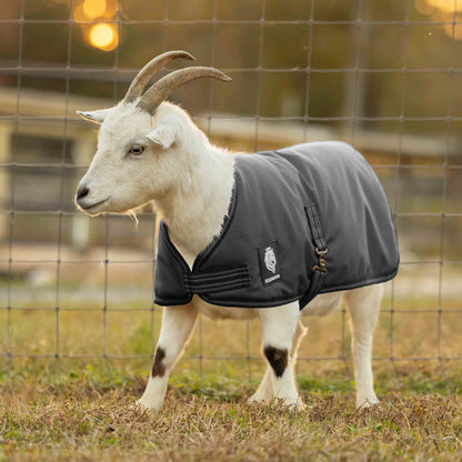 Equinavia Norse Waterproof Goat Coat 200g
