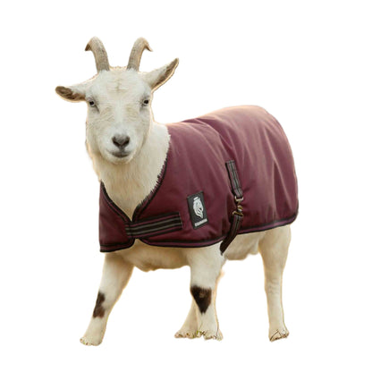 Equinavia Norse Waterproof Goat Coat 200g