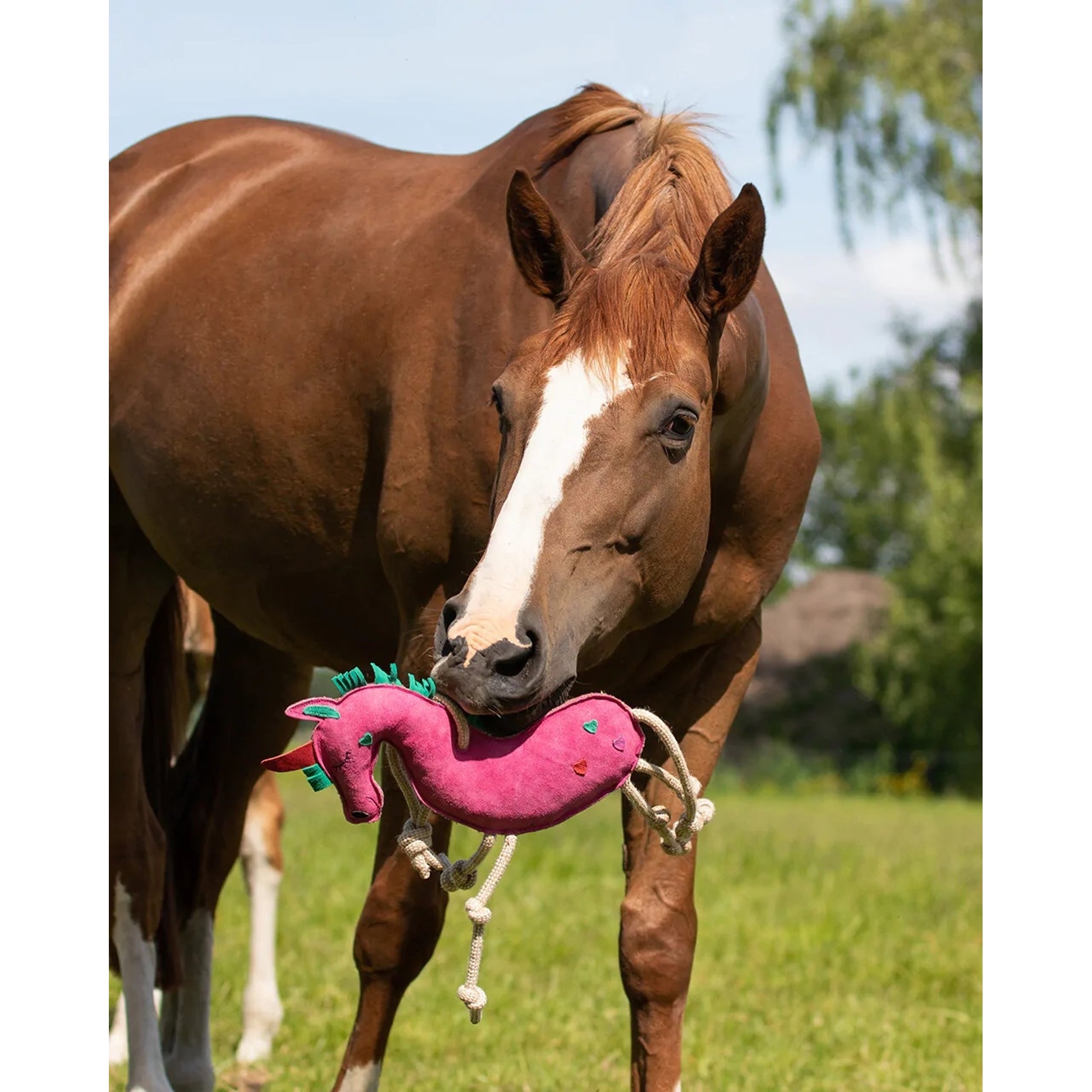 QHP Unicorn Horse Toy