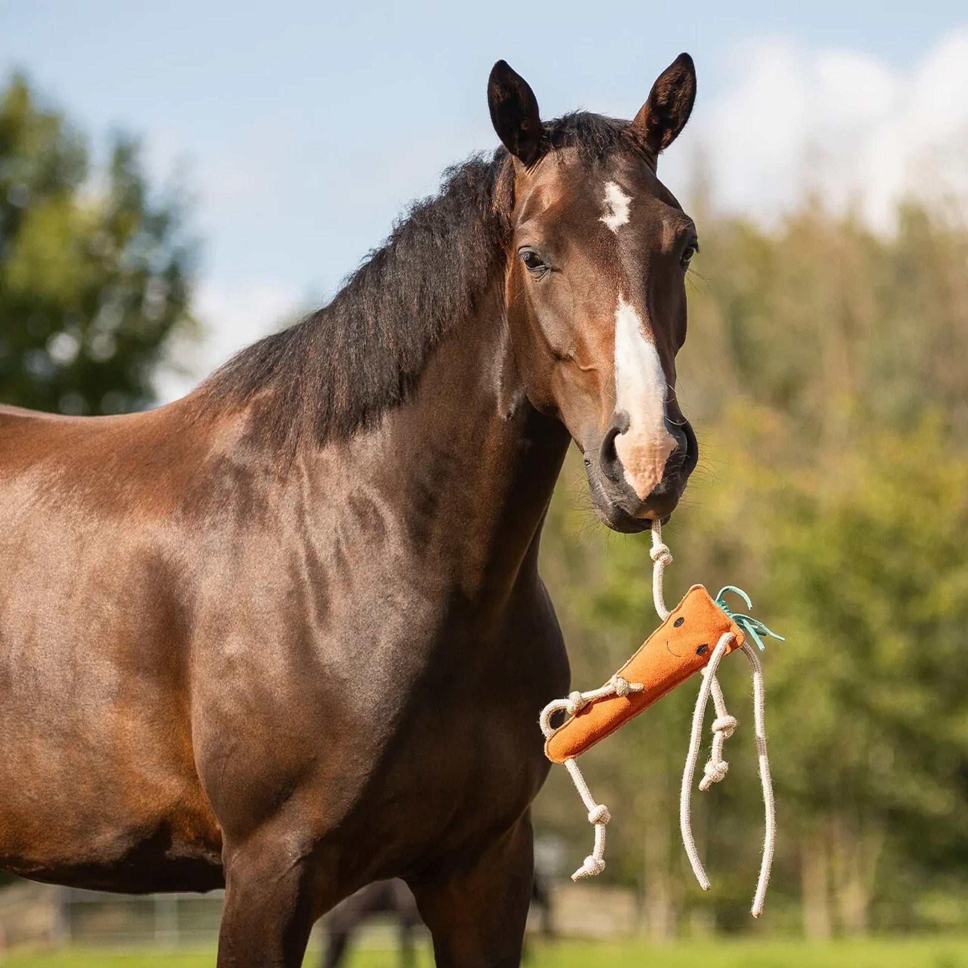 QHP Carrot Horse Toy
