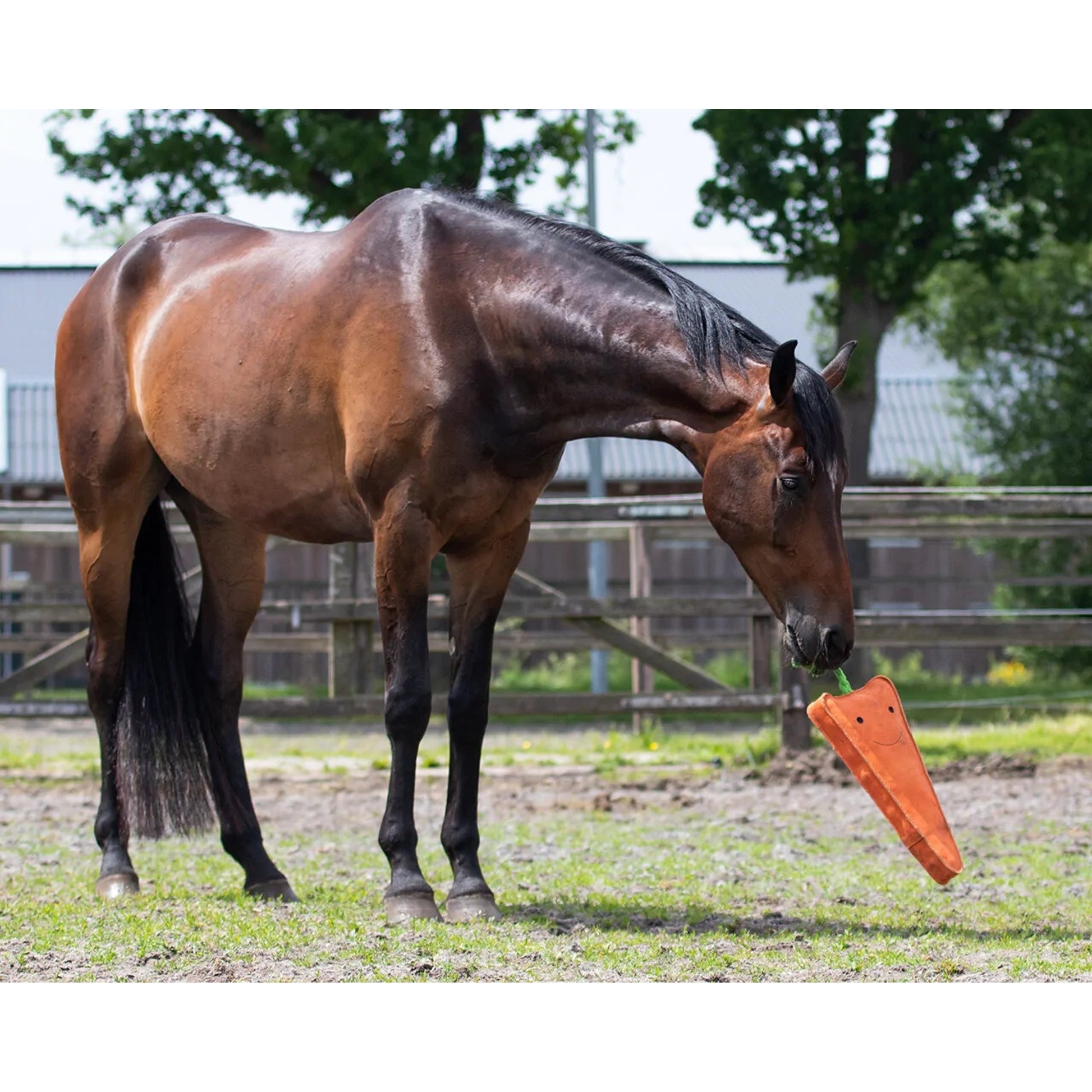 QHP Carrot Horse Toy