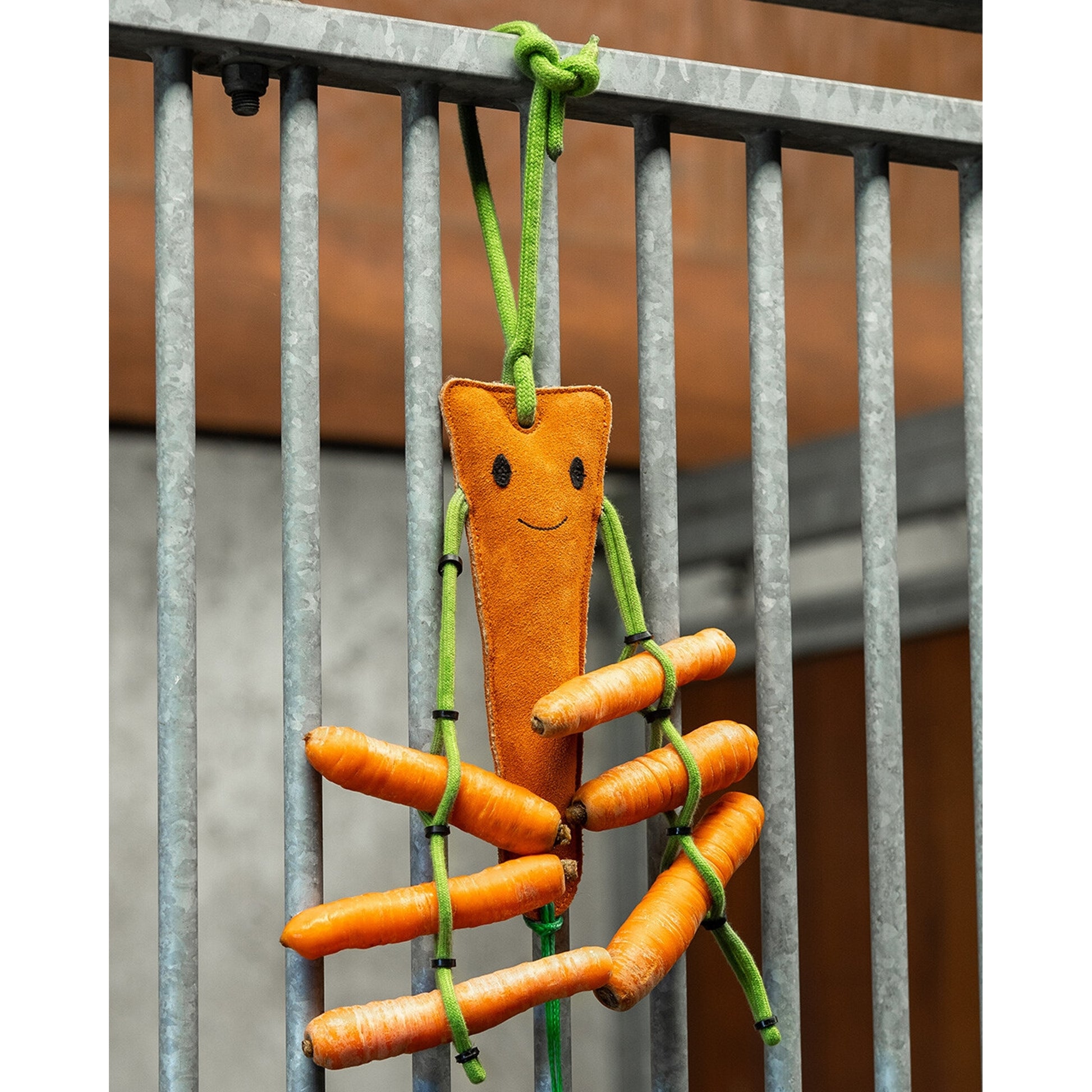 QHP Carrot Horse Toy with Hay Net