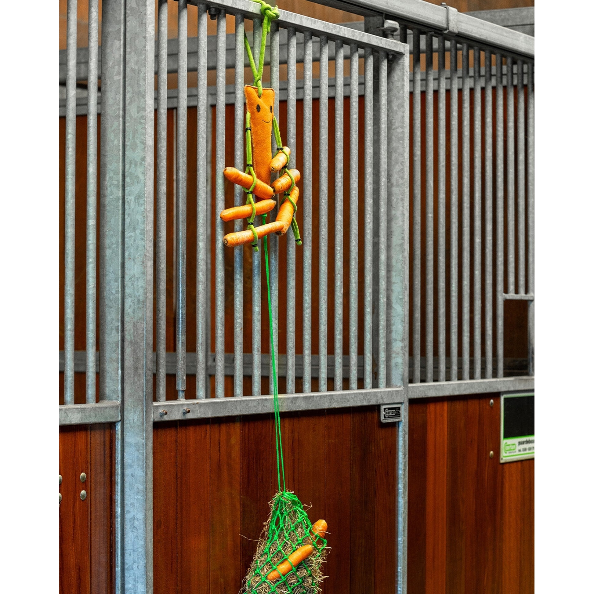QHP Carrot Horse Toy with Hay Net