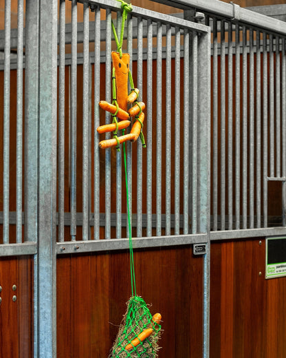 QHP Carrot Horse Toy with Hay Net