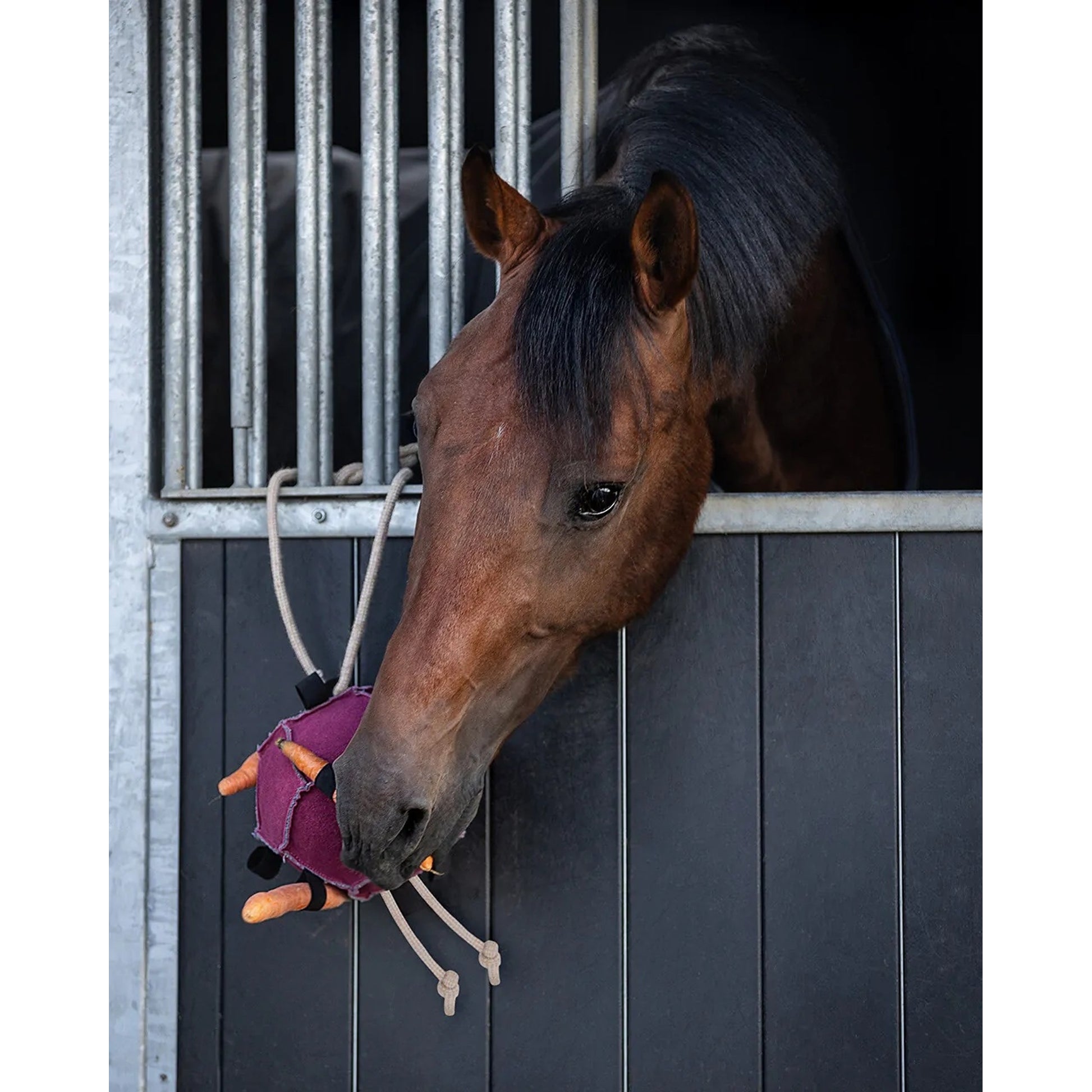 QHP Horse Ball Toy