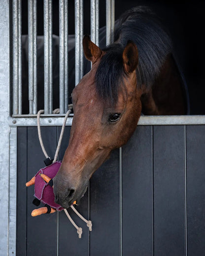 QHP Horse Ball Toy